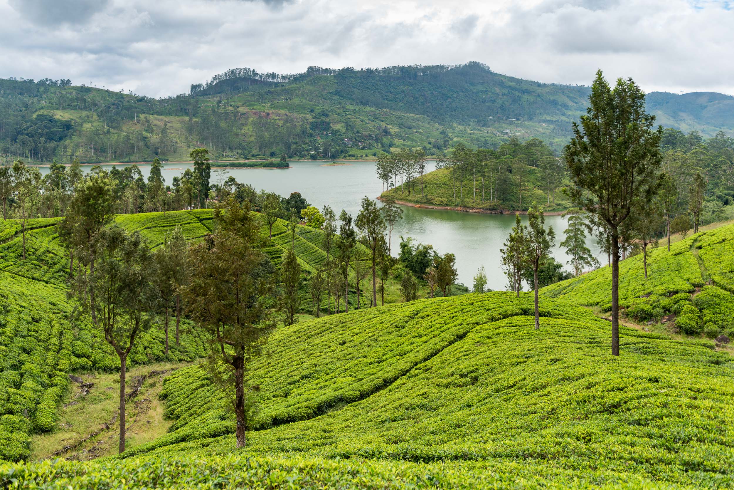 Srí Lanka - ideálna kombinácia 73