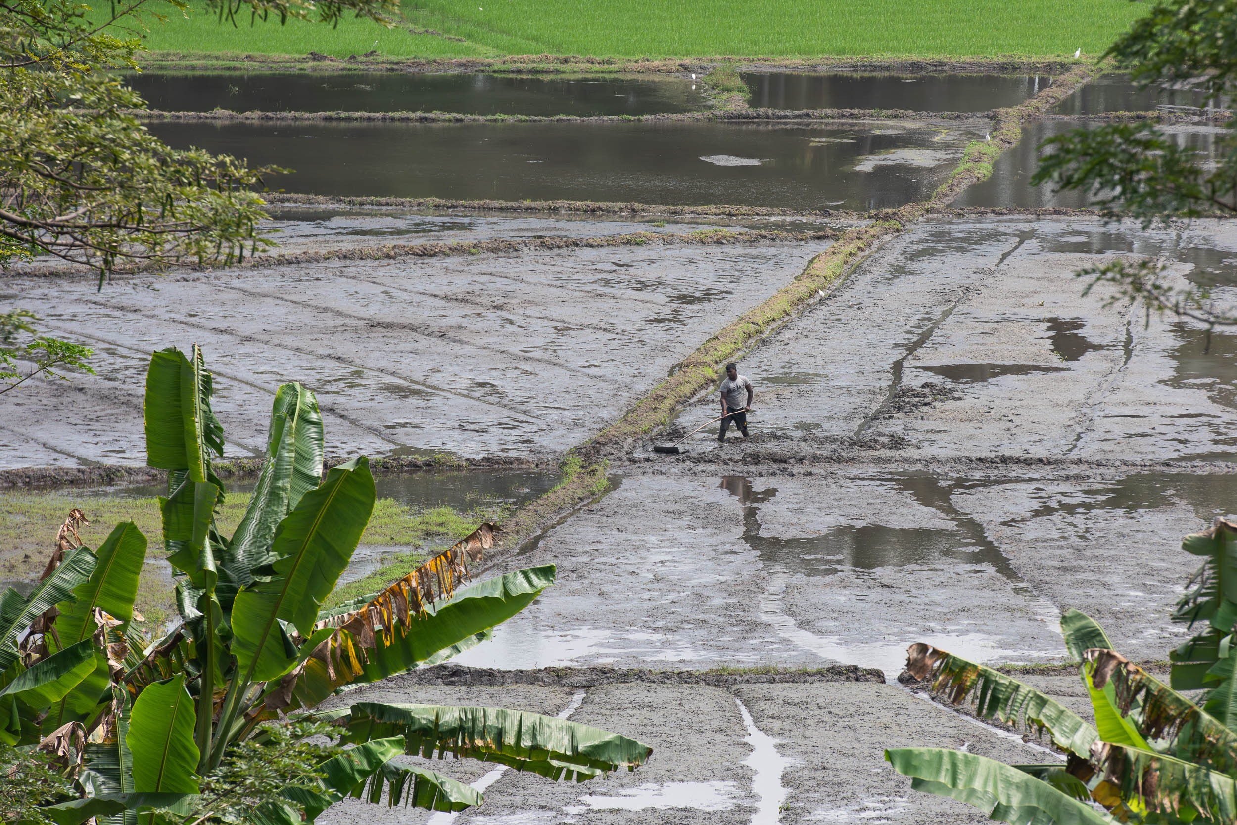 Srí Lanka - ideálna kombinácia 8