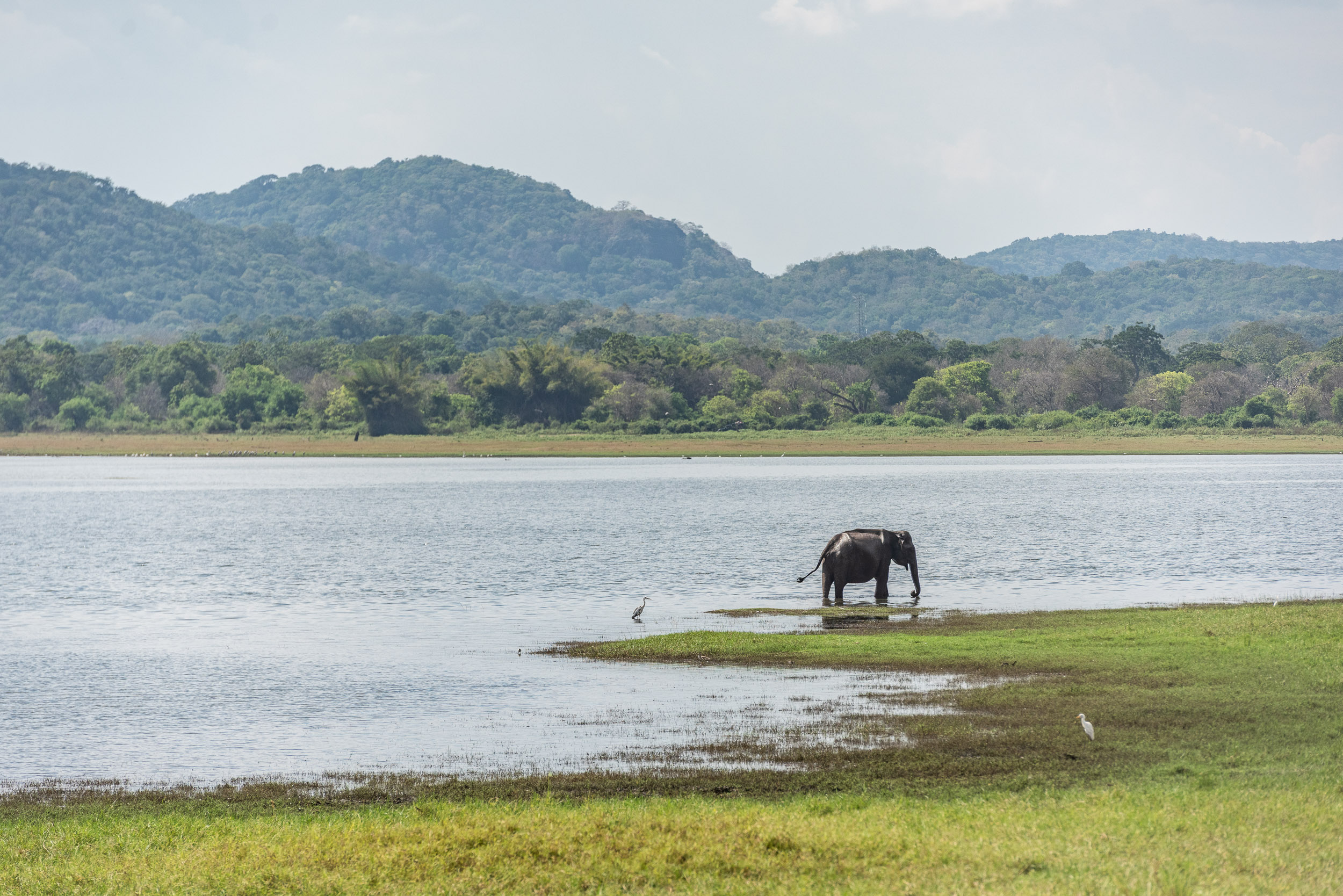 Srí Lanka - ideálna kombinácia 82