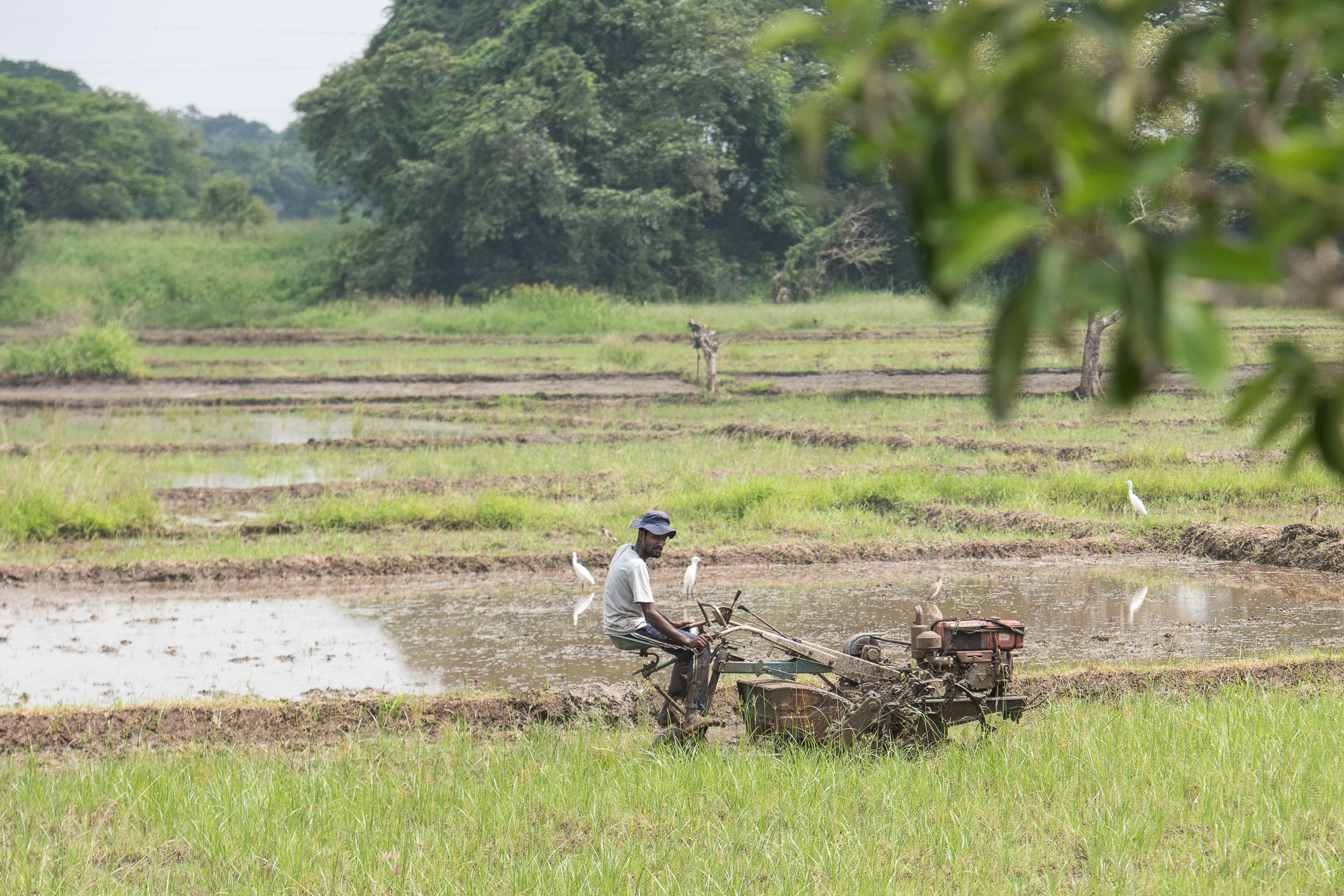 Srí Lanka - ideálna kombinácia 7