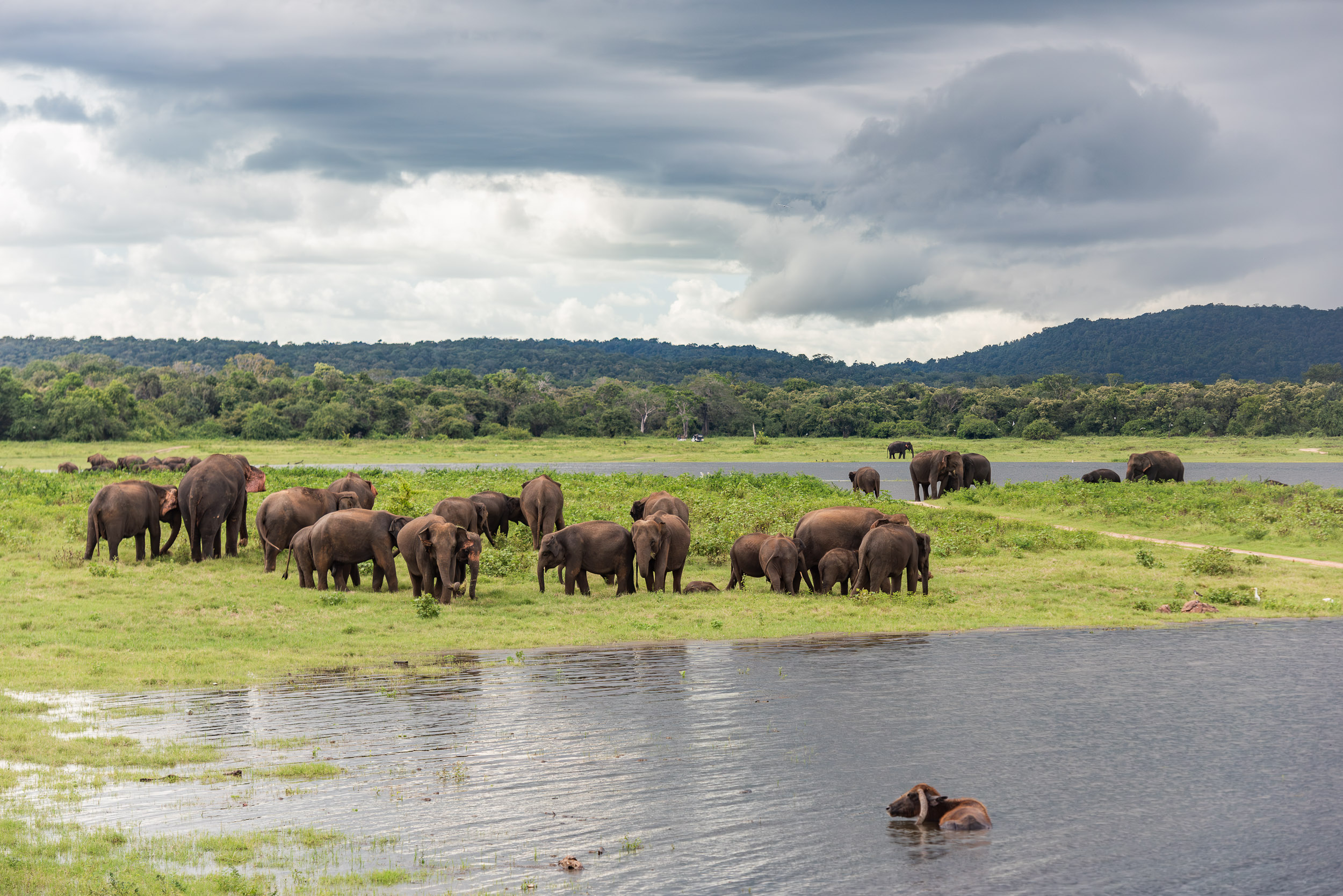 Srí Lanka - ideálna kombinácia 91