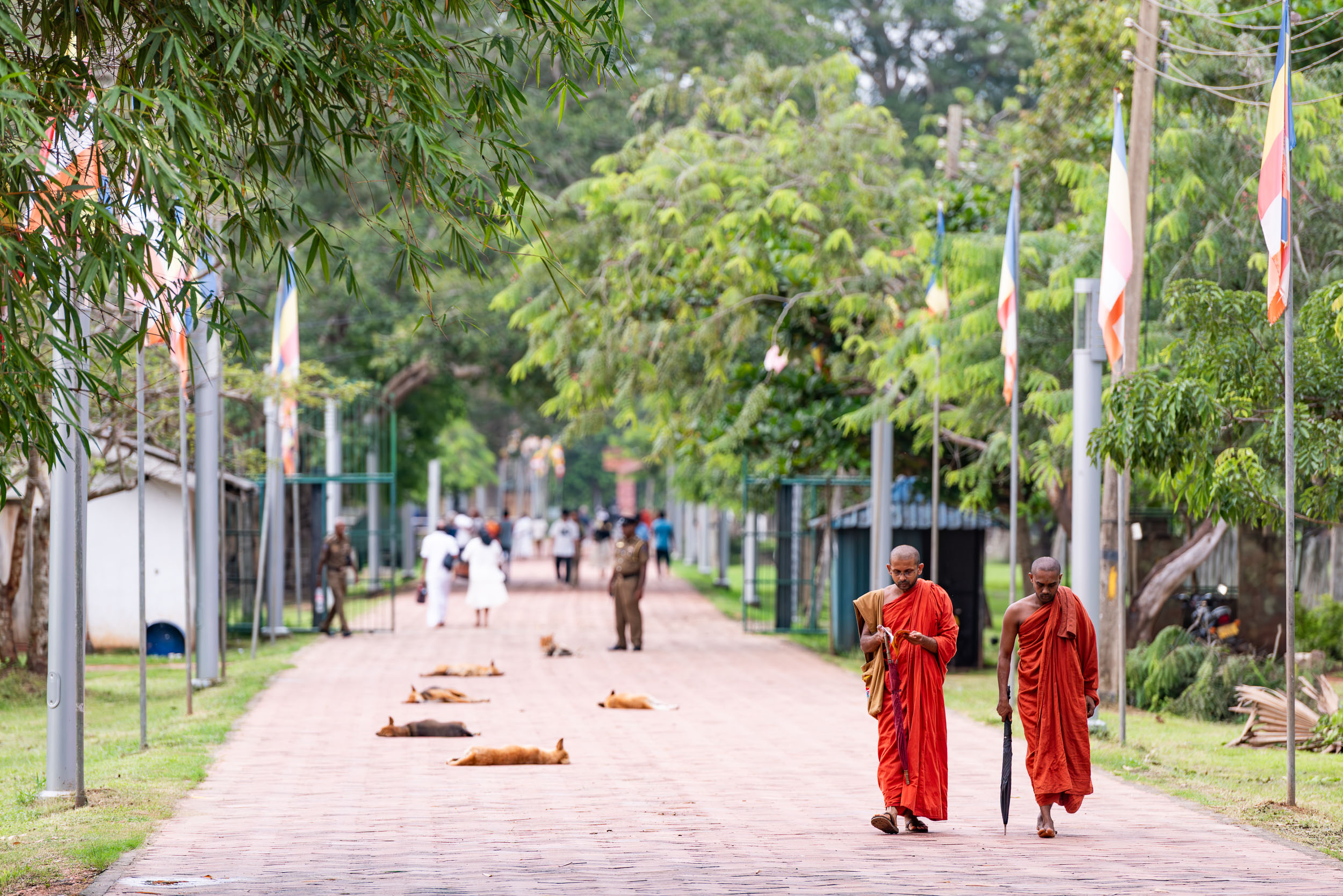 Srí Lanka - ideálna kombinácia 2