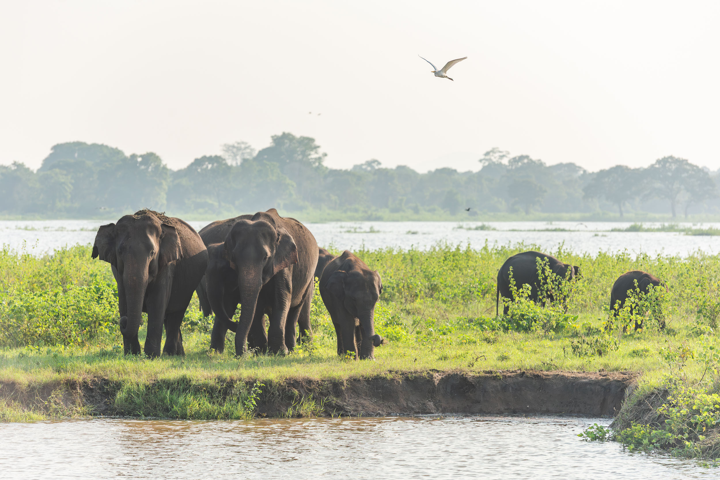 Srí Lanka - ideálna kombinácia 95