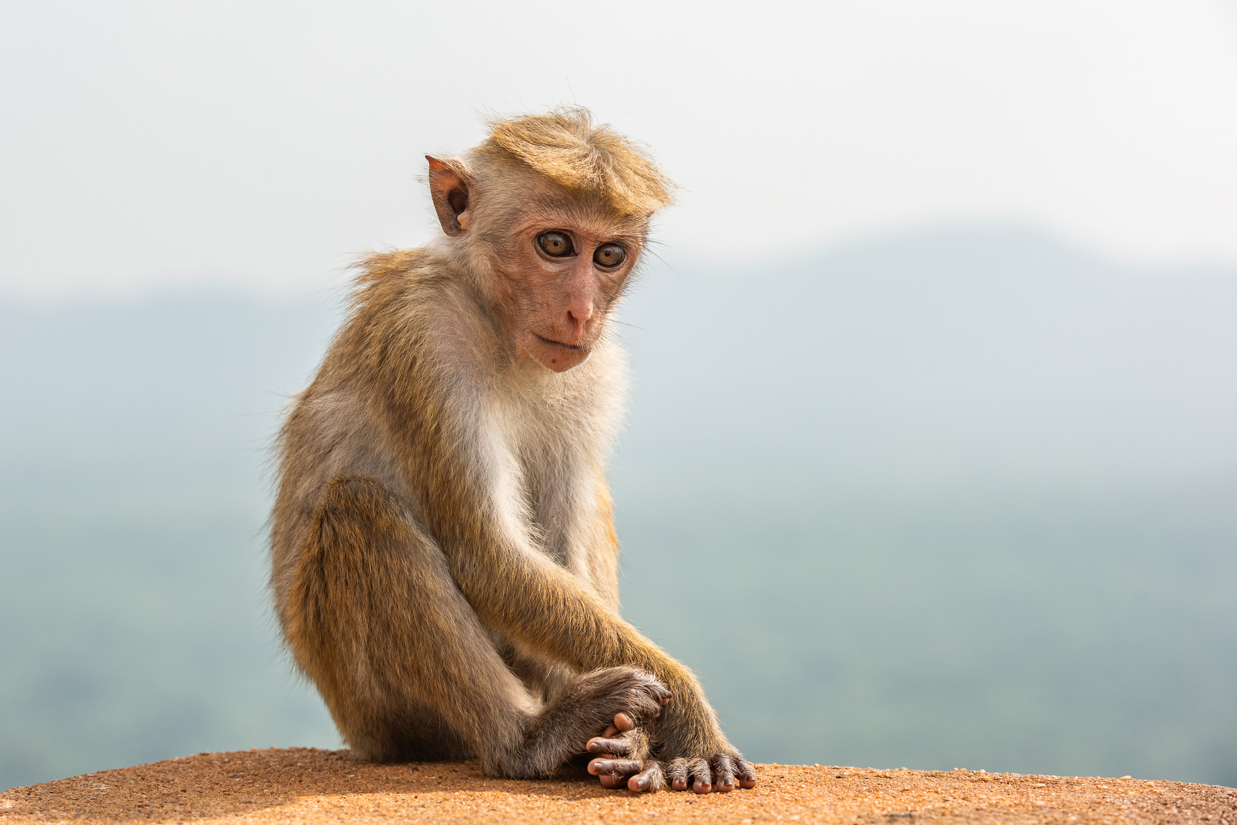 Srí Lanka - ideálna kombinácia 22