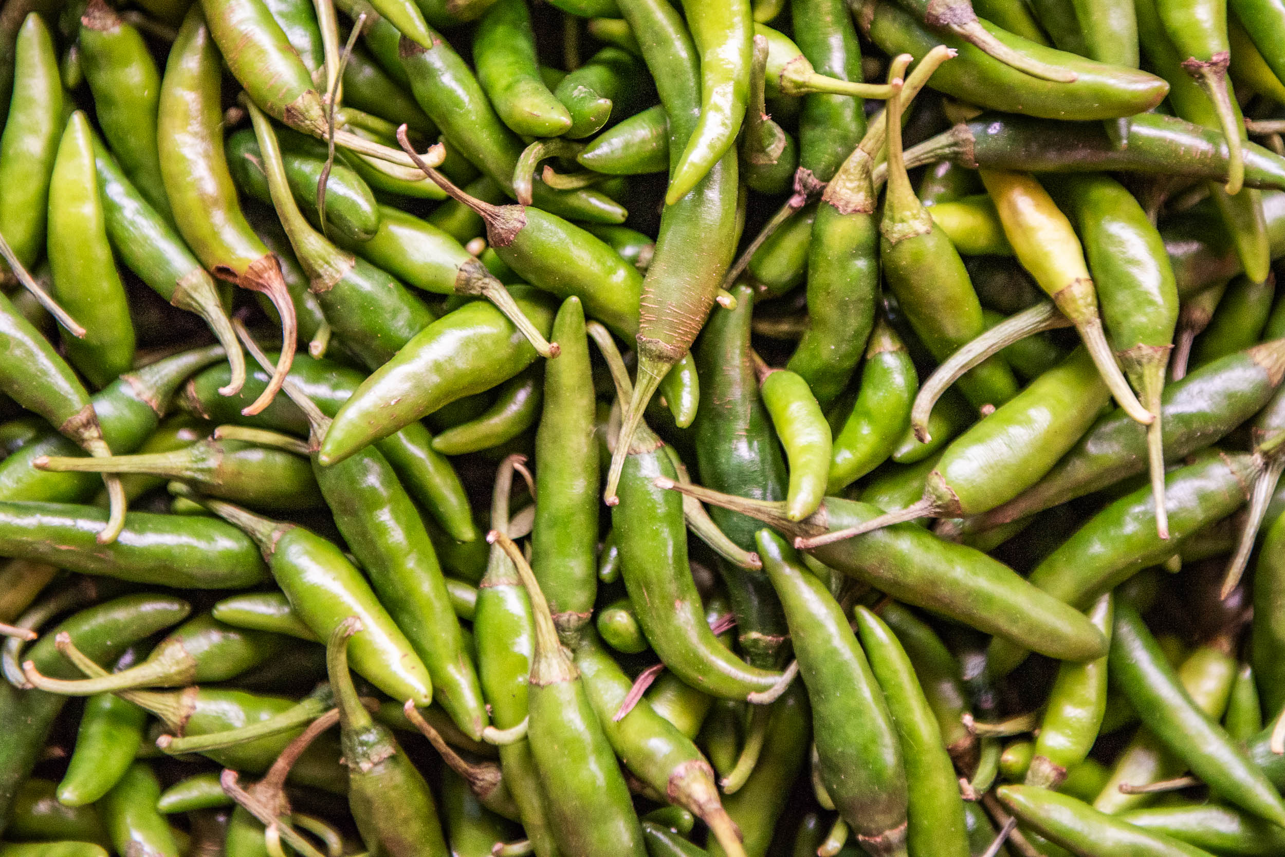 Srí Lanka - ideálna kombinácia 26