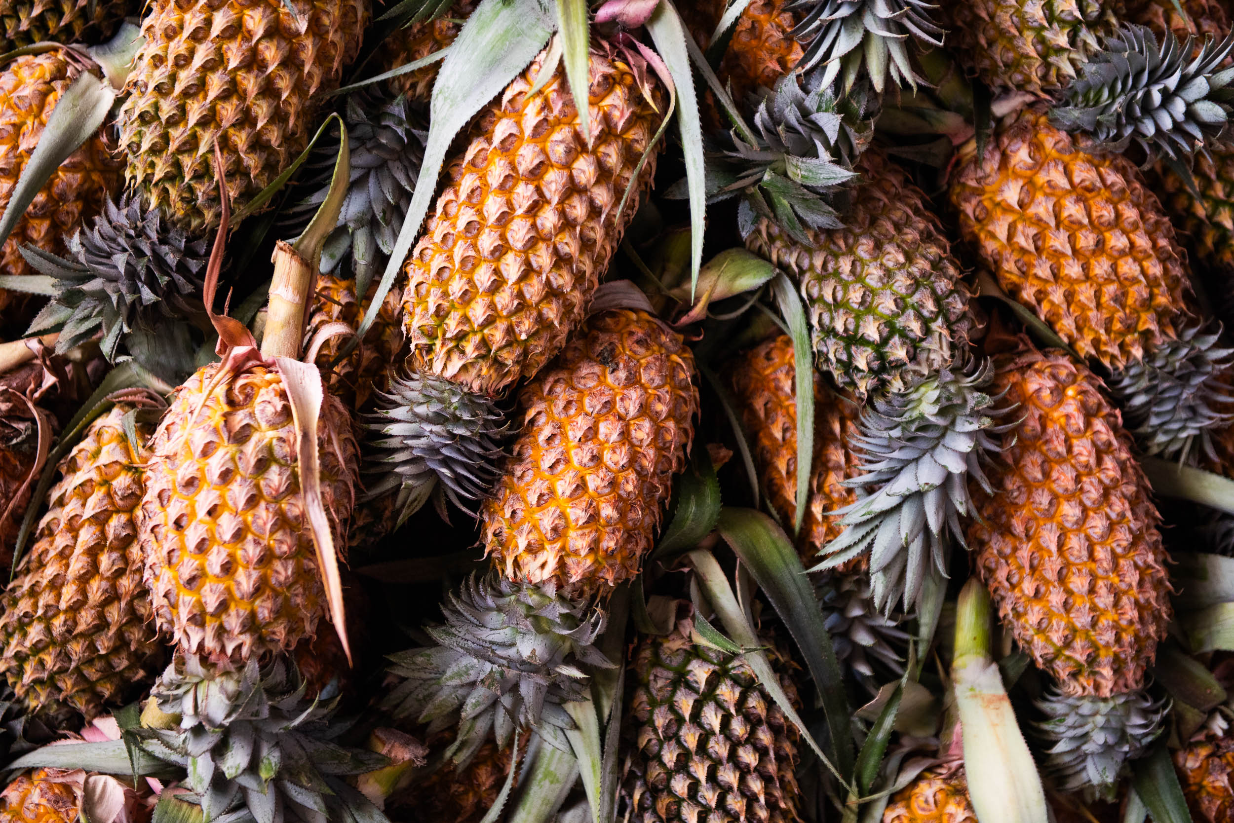 Srí Lanka - ideálna kombinácia 28