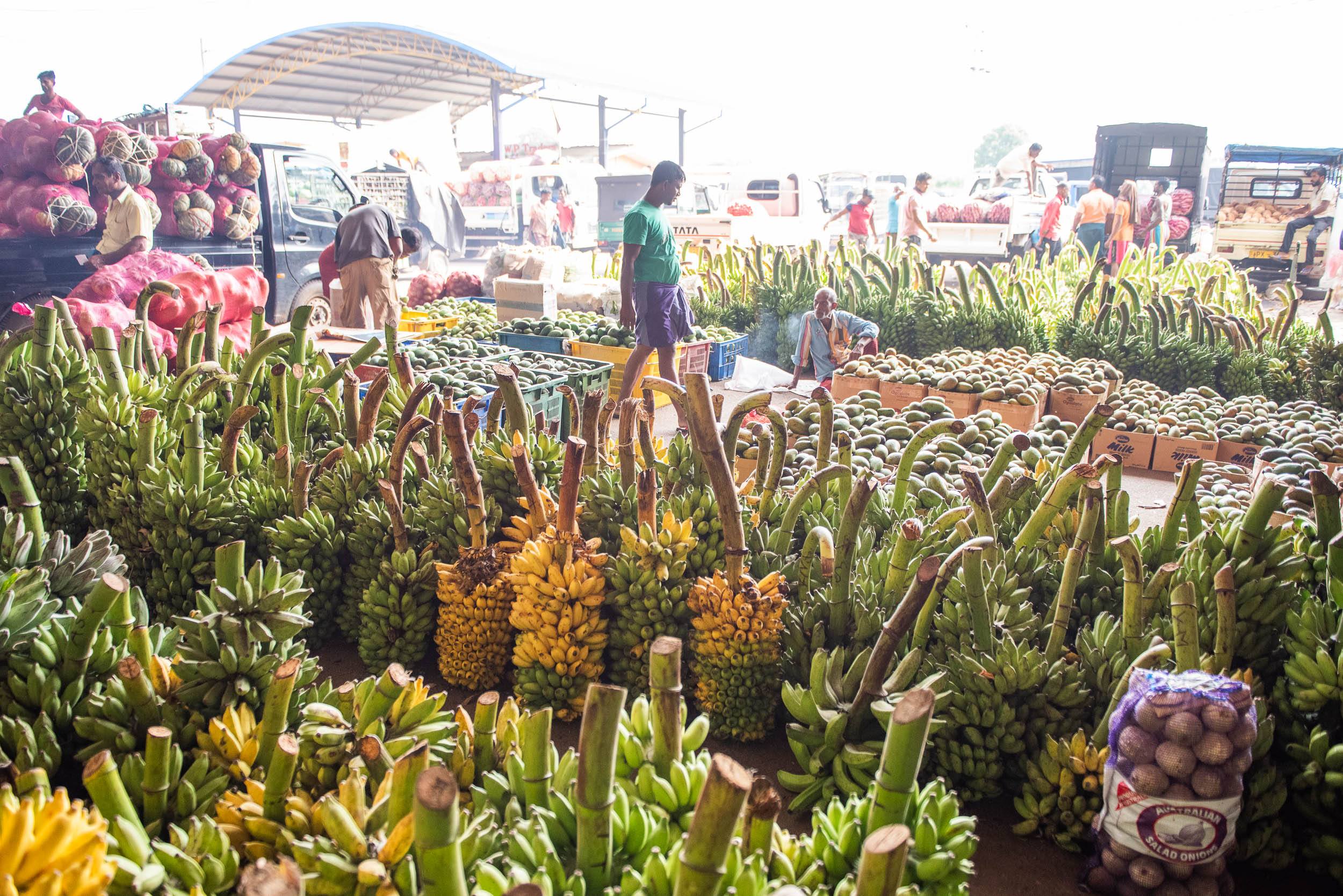 Srí Lanka - ideálna kombinácia 29