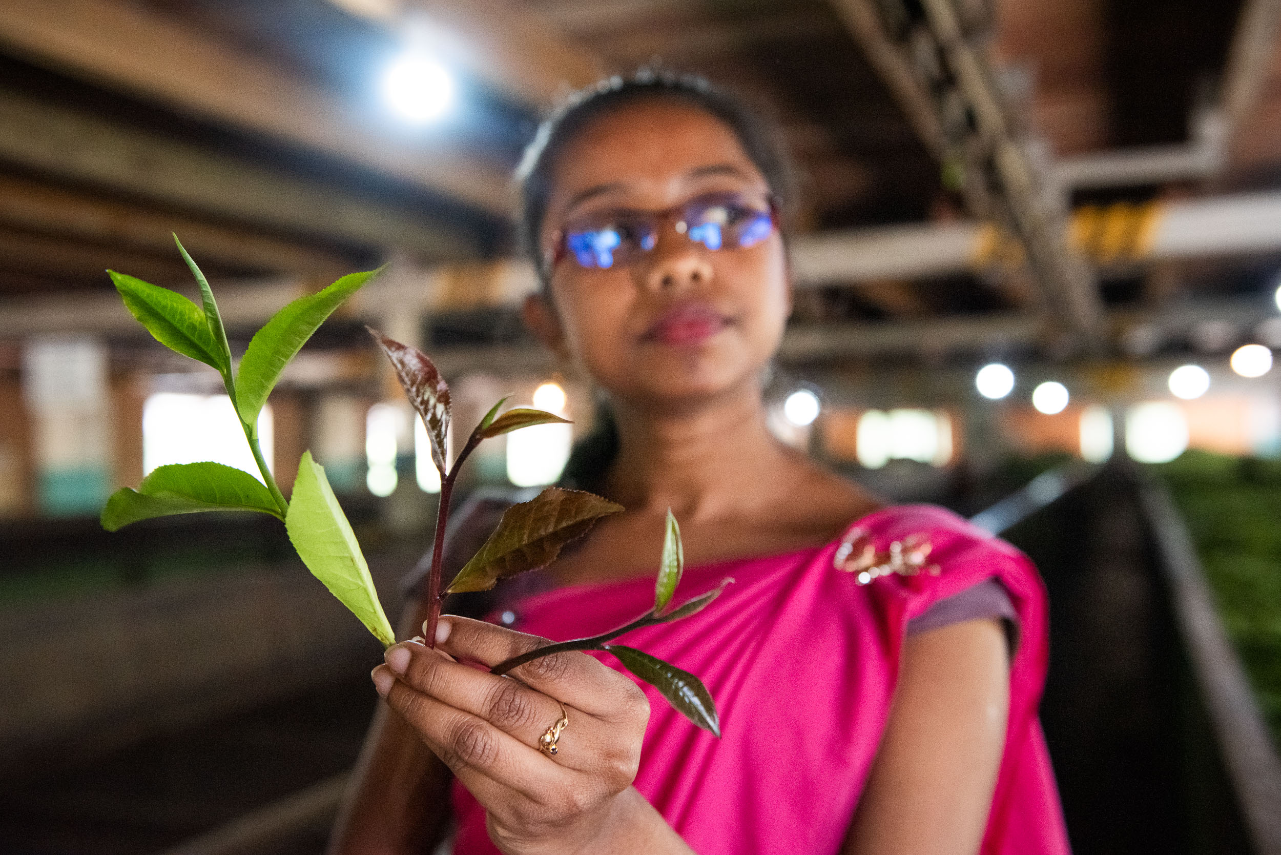 Srí Lanka - ideálna kombinácia 38