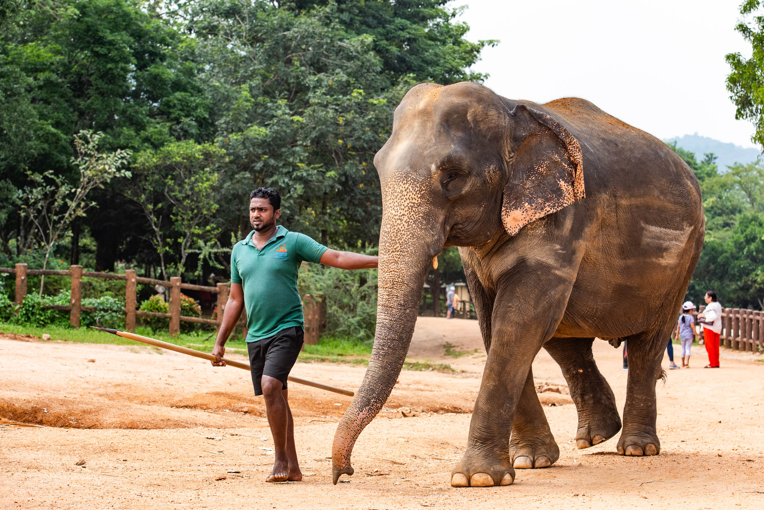 Srí Lanka - ideálna kombinácia 40