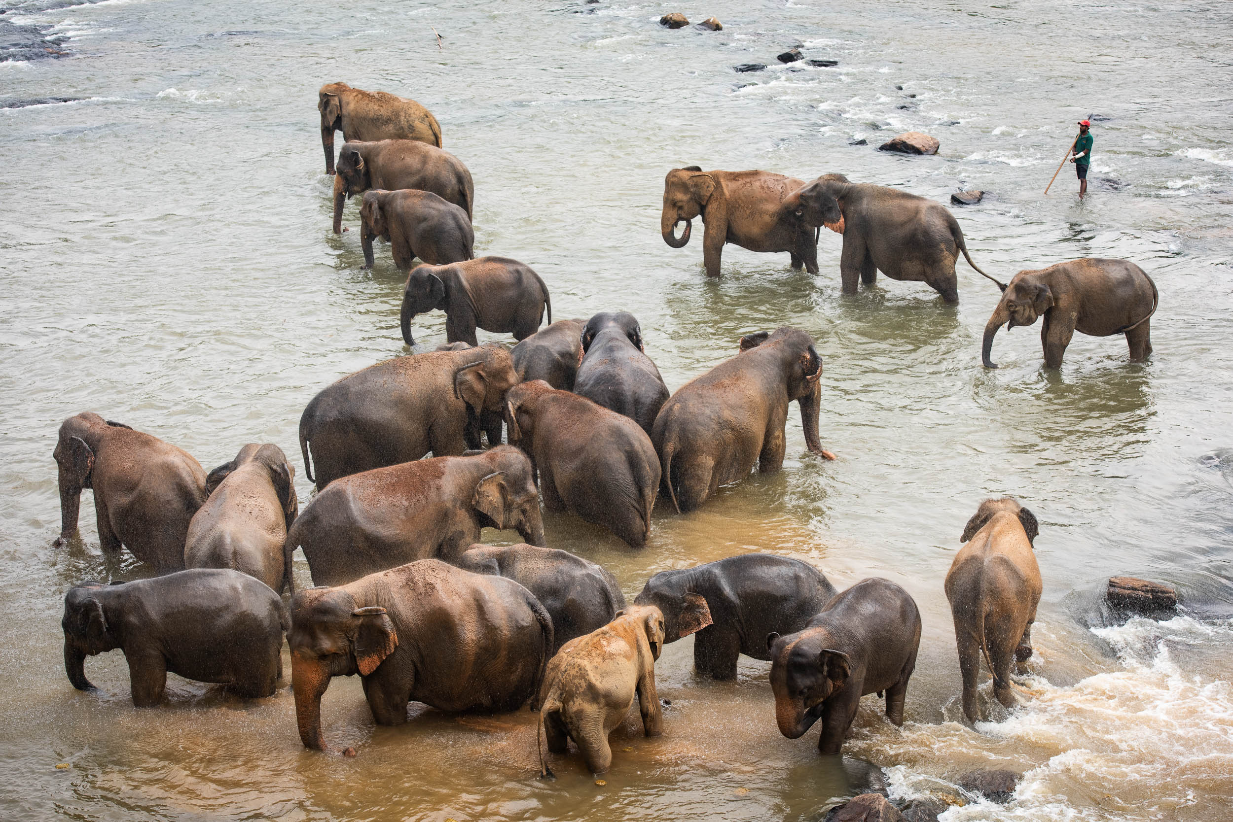 Srí Lanka - ideálna kombinácia 43