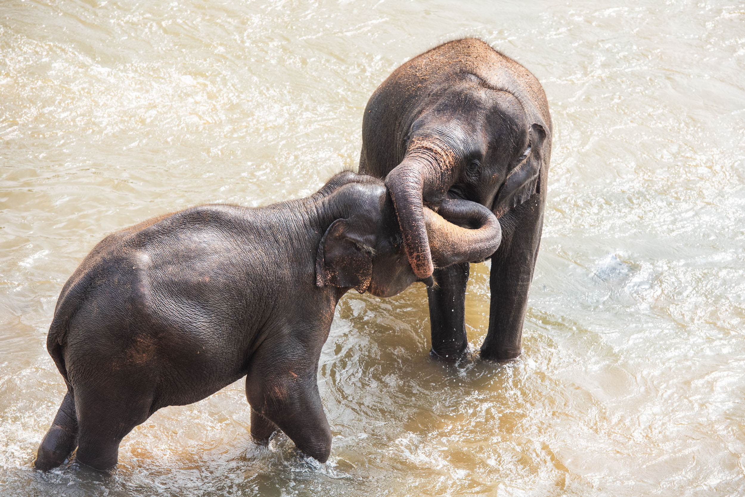 Srí Lanka - ideálna kombinácia 44