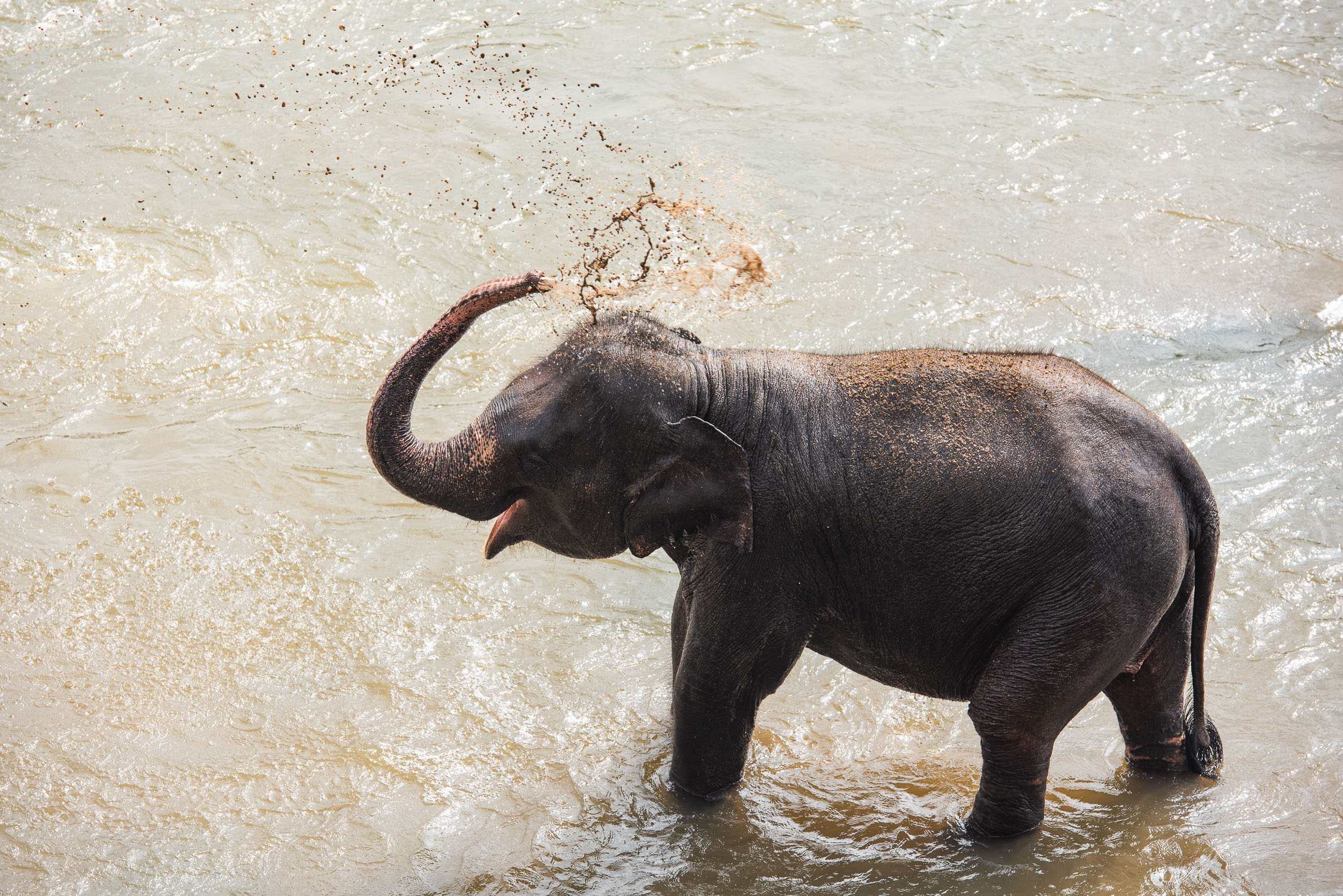 Srí Lanka - ideálna kombinácia 45