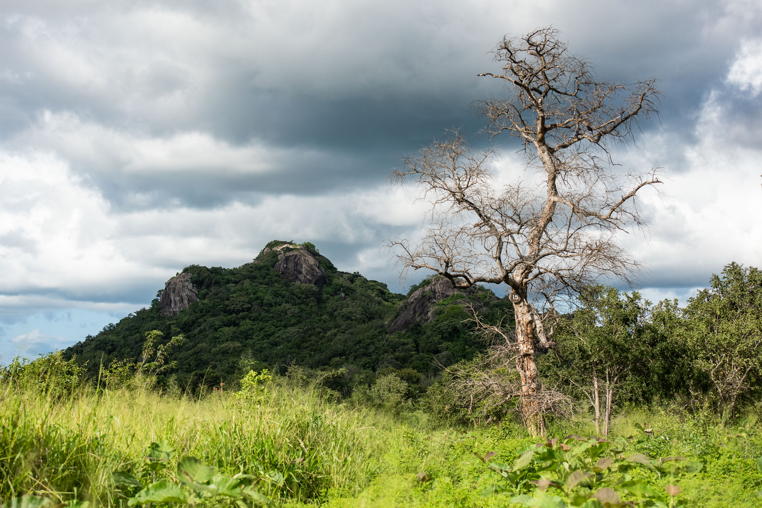 Srí Lanka - ideálna kombinácia 50