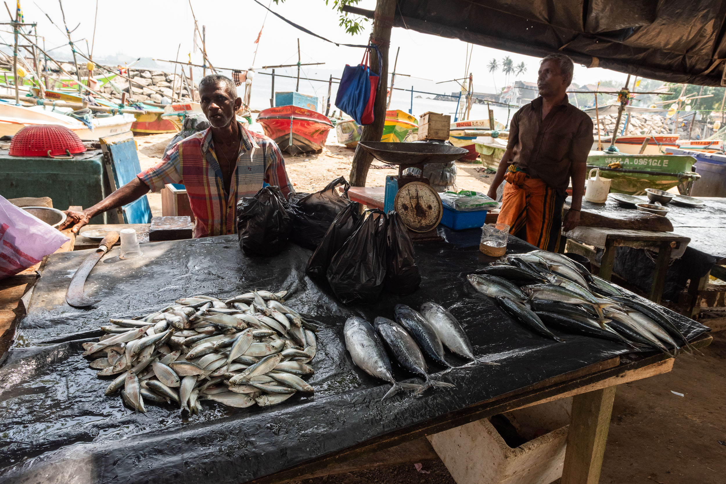 Srí Lanka - ideálna kombinácia 55
