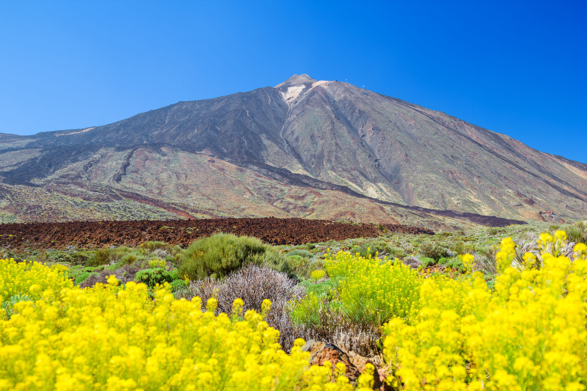 To najlepšie z Tenerife - zelený sever a slnečný juh 2