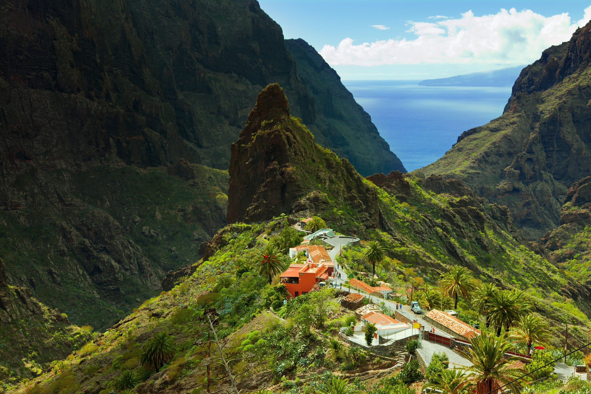 To najlepšie z Tenerife - zelený sever a slnečný juh 13