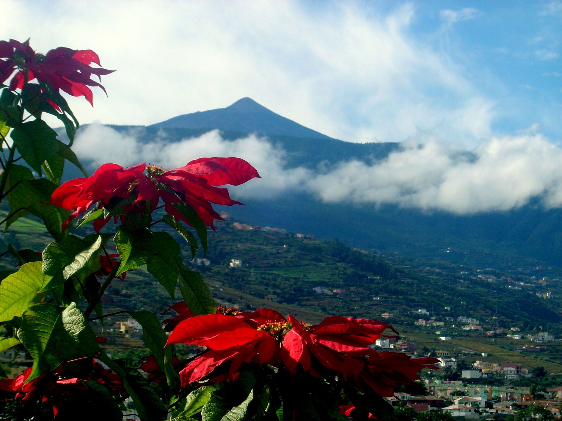 To najlepšie z Tenerife - zelený sever a slnečný juh 9