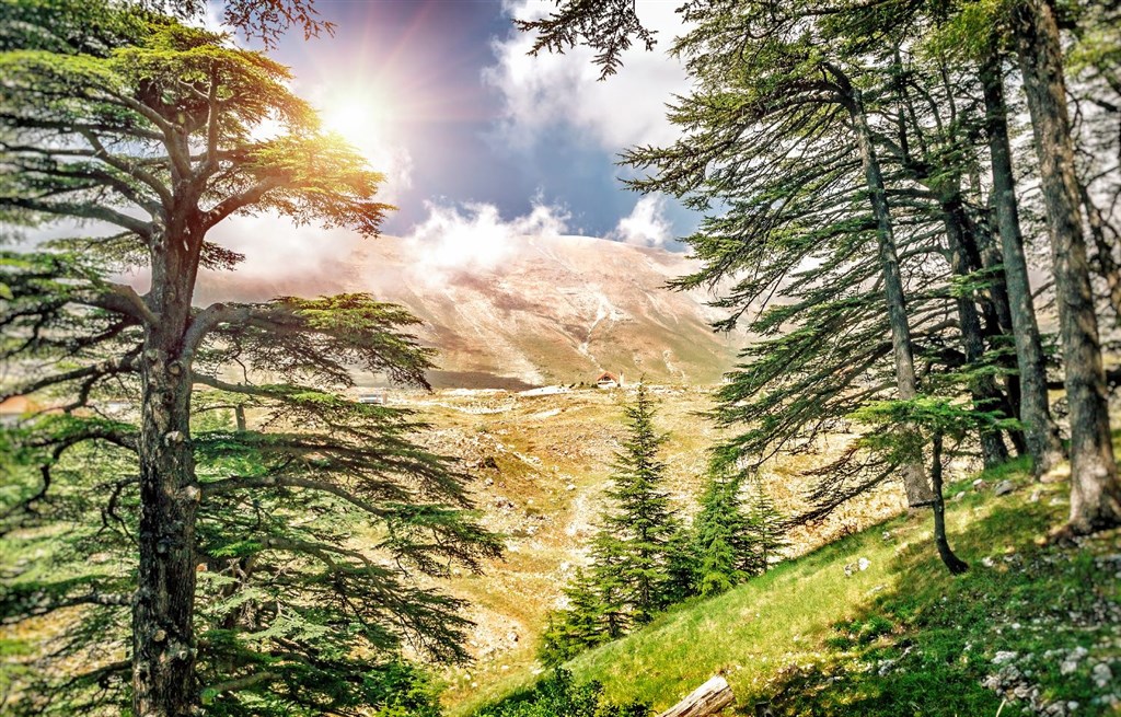 Libanon - krajina cédrových stromov 1