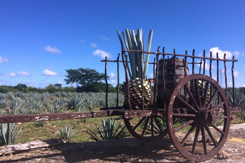 Mexiko - potulky Yucatánom 9