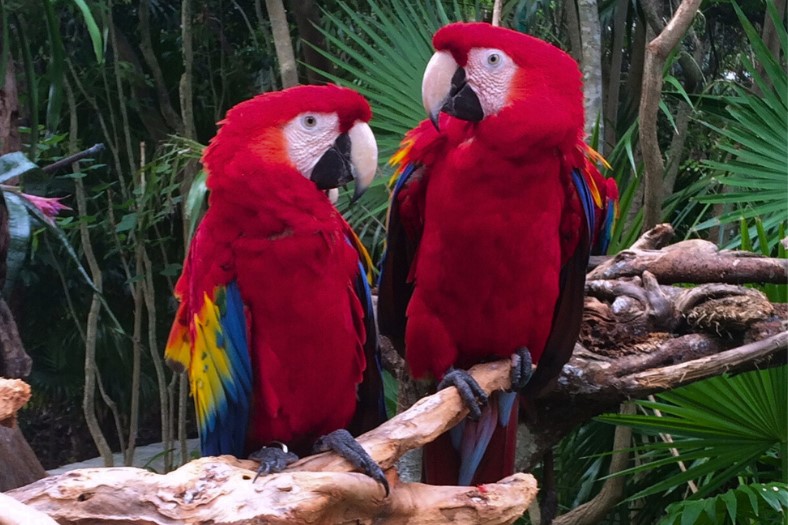 Mexiko - potulky Yucatánom 10