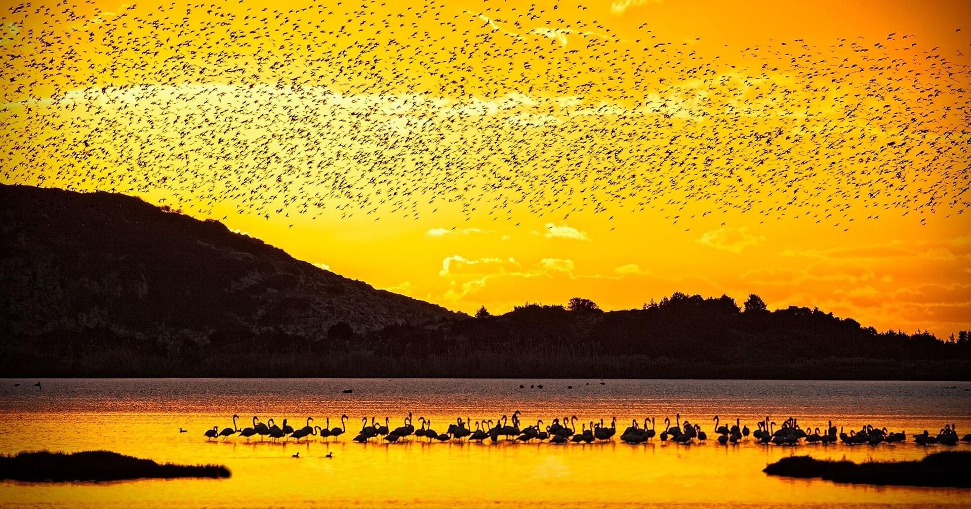 Bájny Peloponéz, Olympia a čarovné pobrežie Navarino 11