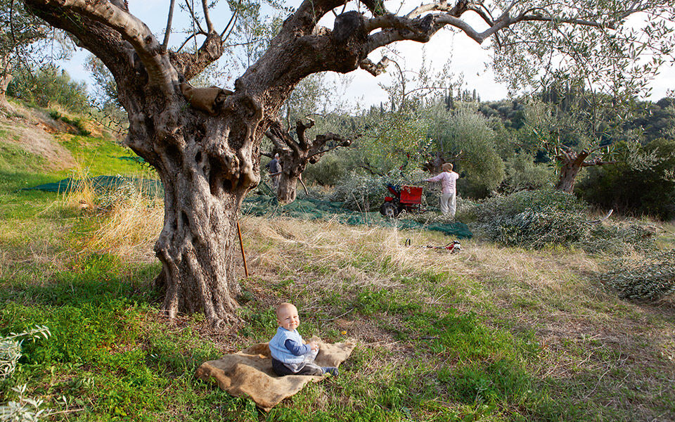 Bájny Peloponéz, Olympia a čarovné pobrežie Navarino 7