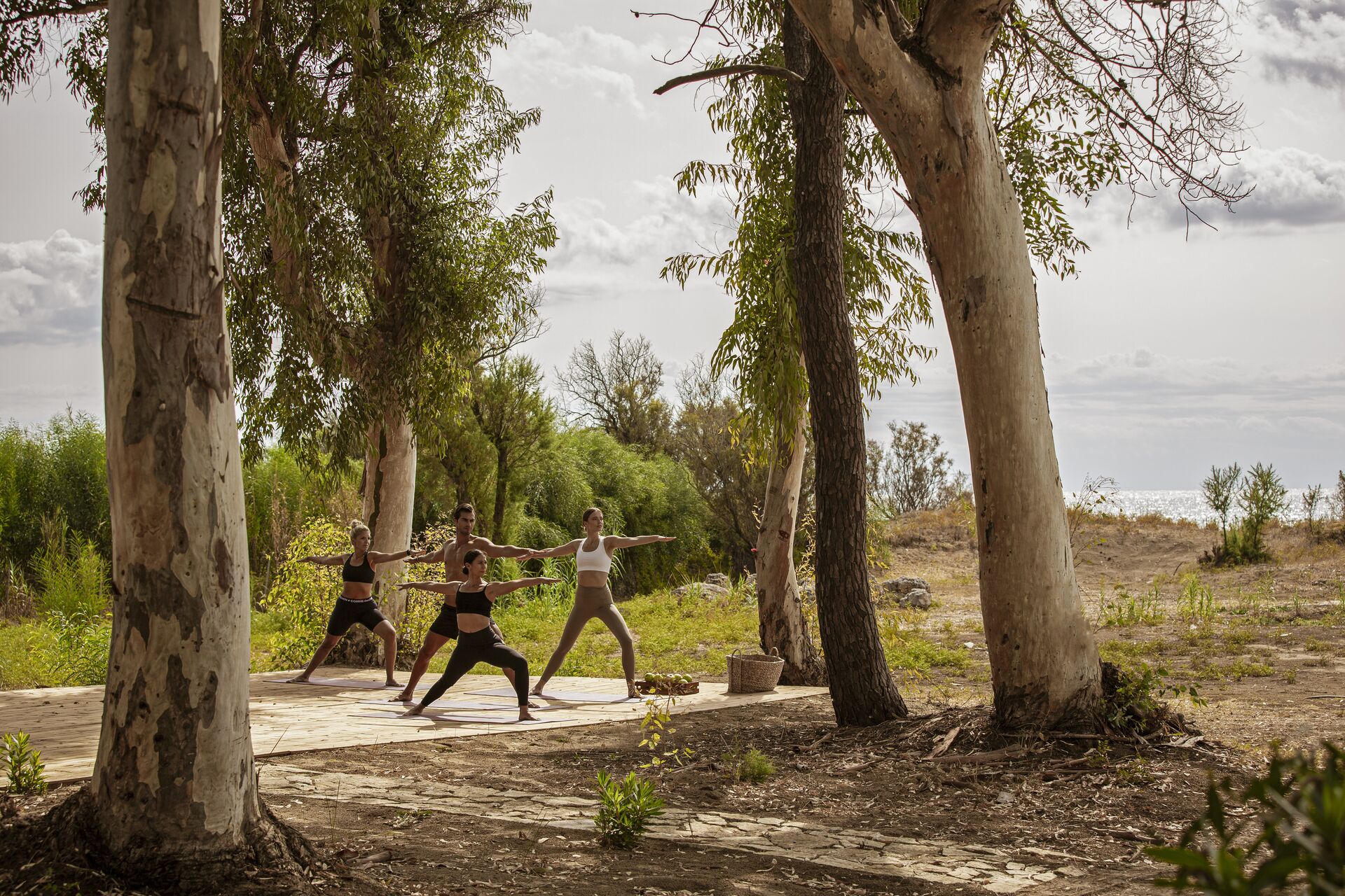 Domes Aulus Zante, Autograph Collection 13