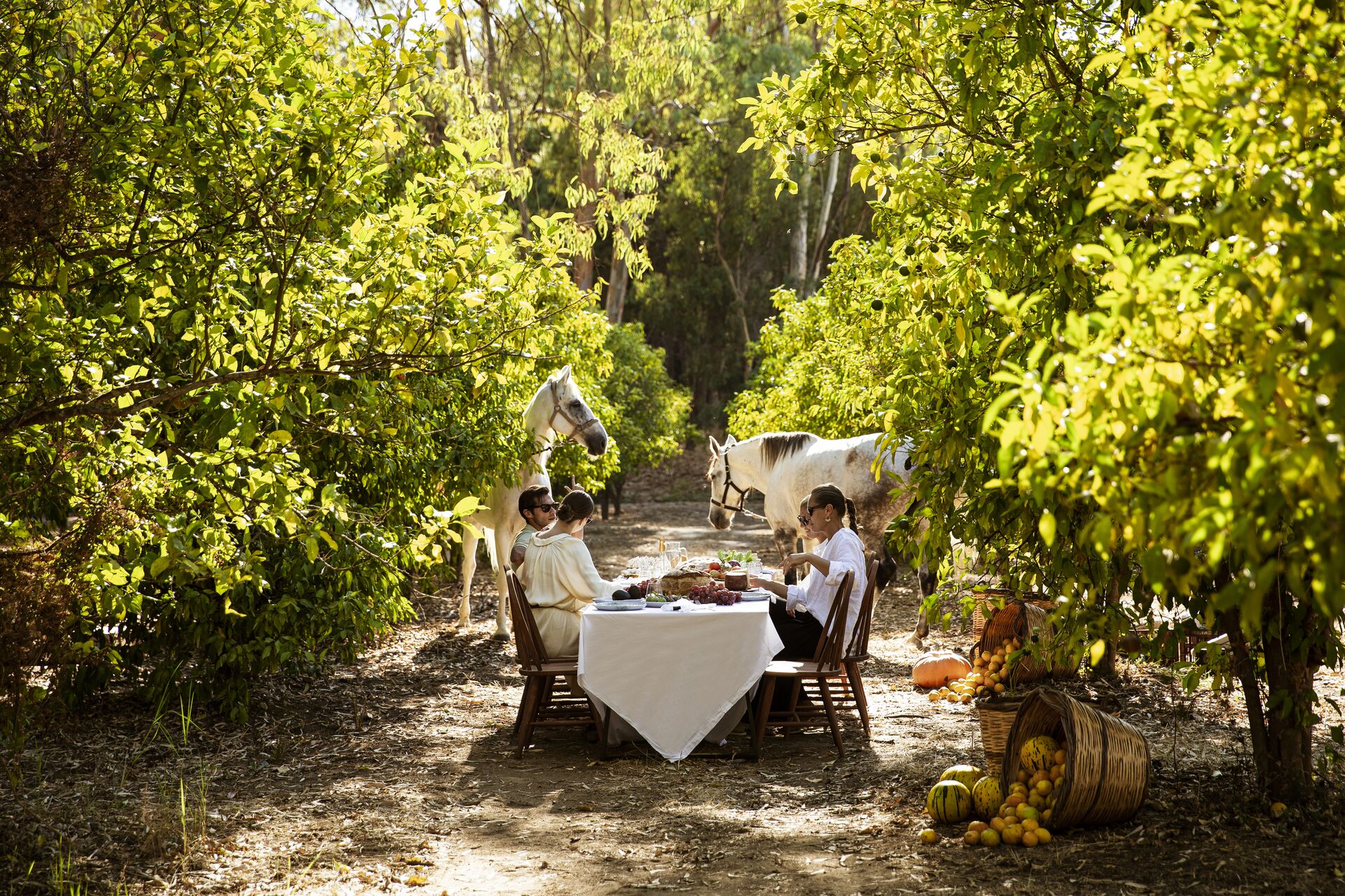 Domes Aulus Zante, Autograph Collection 12