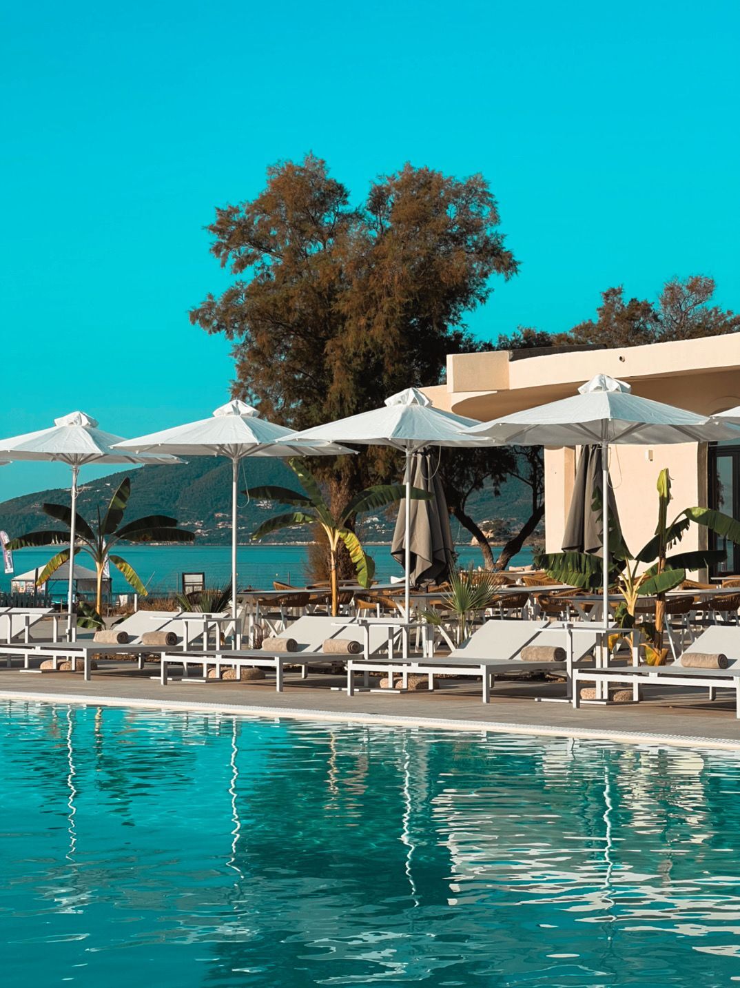 Domes Aulus Zante, Autograph Collection 9