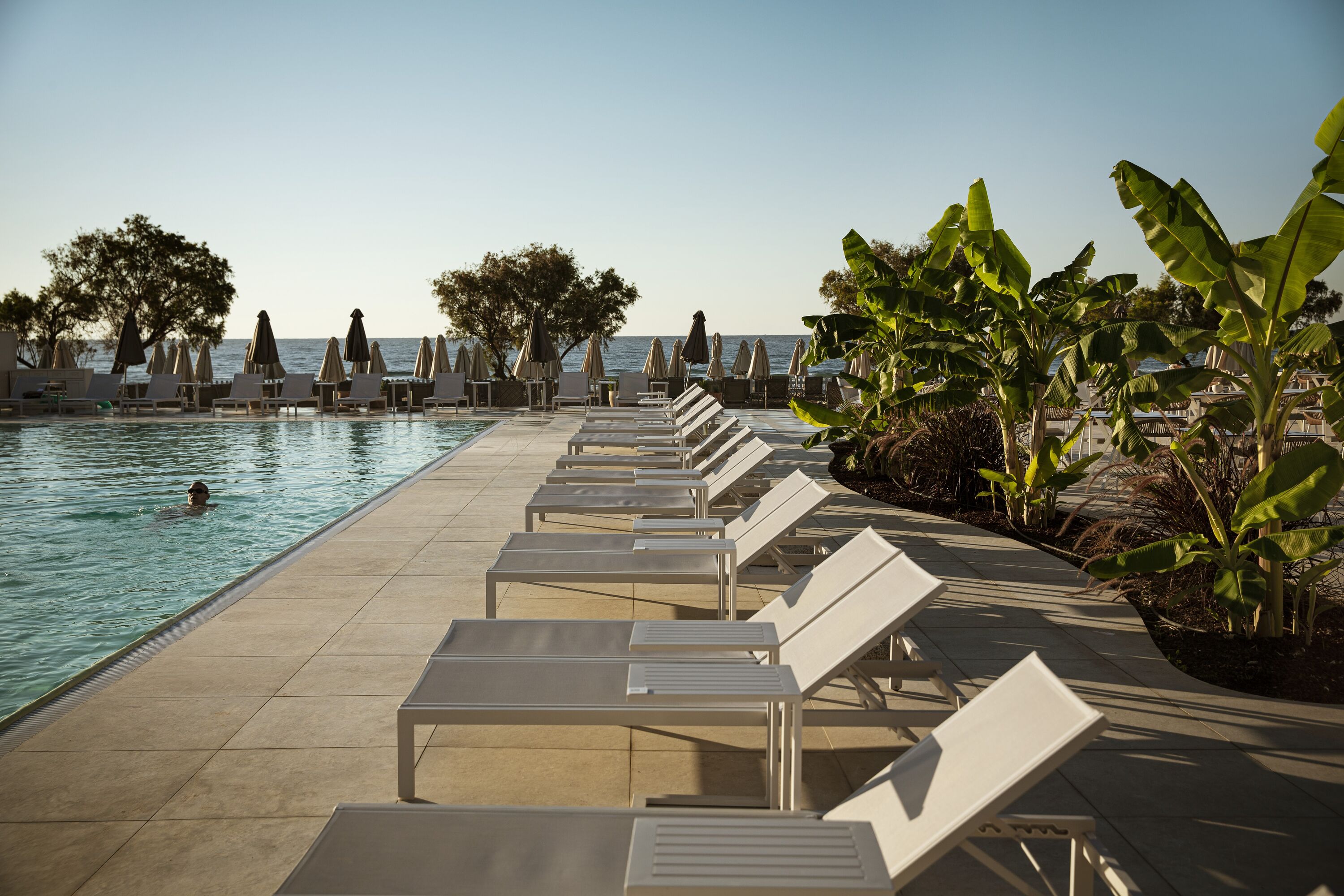 Domes Aulus Zante, Autograph Collection 17