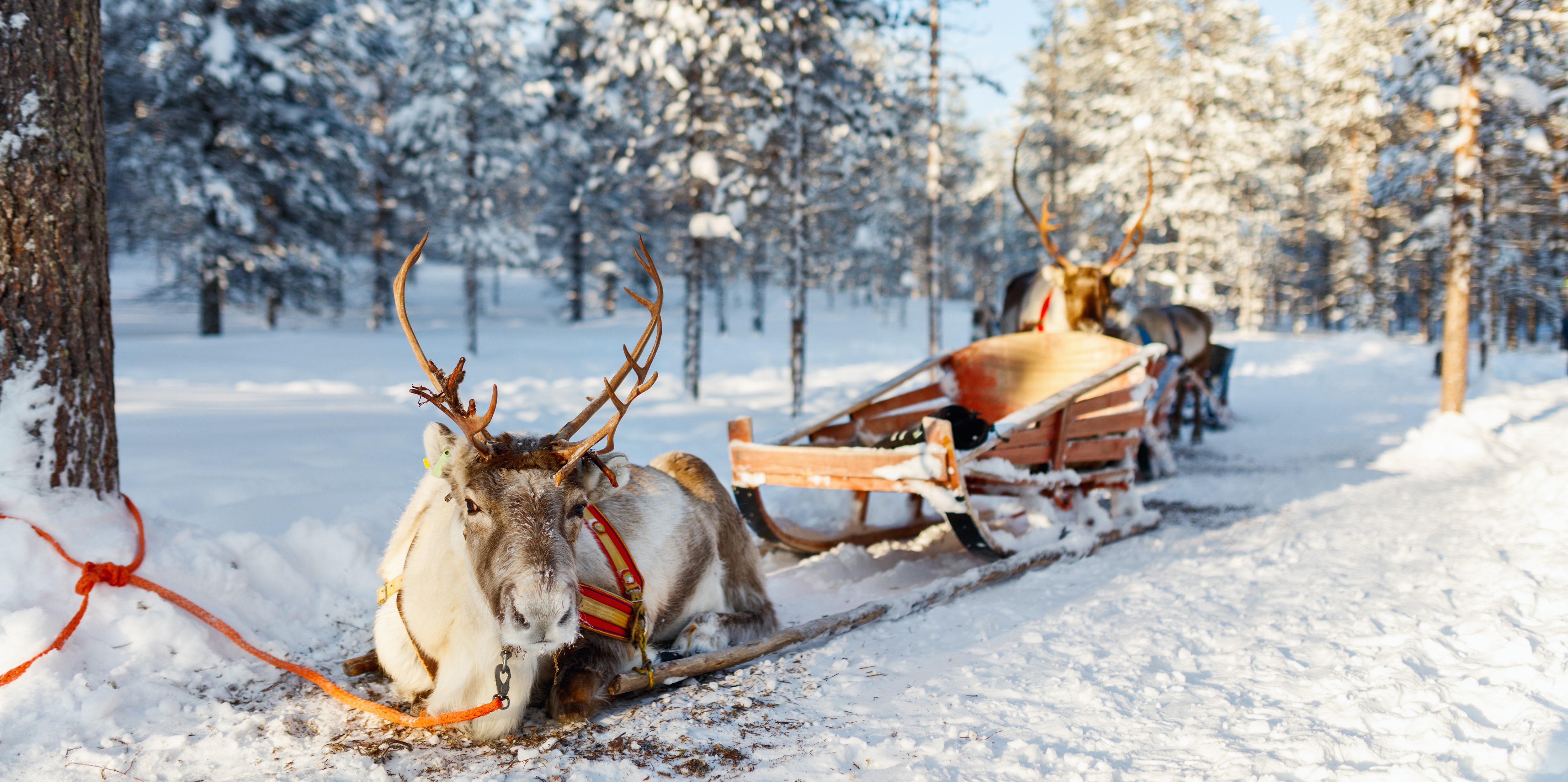 Laponsko - za polárnou žiarou a Santa Clausom 1