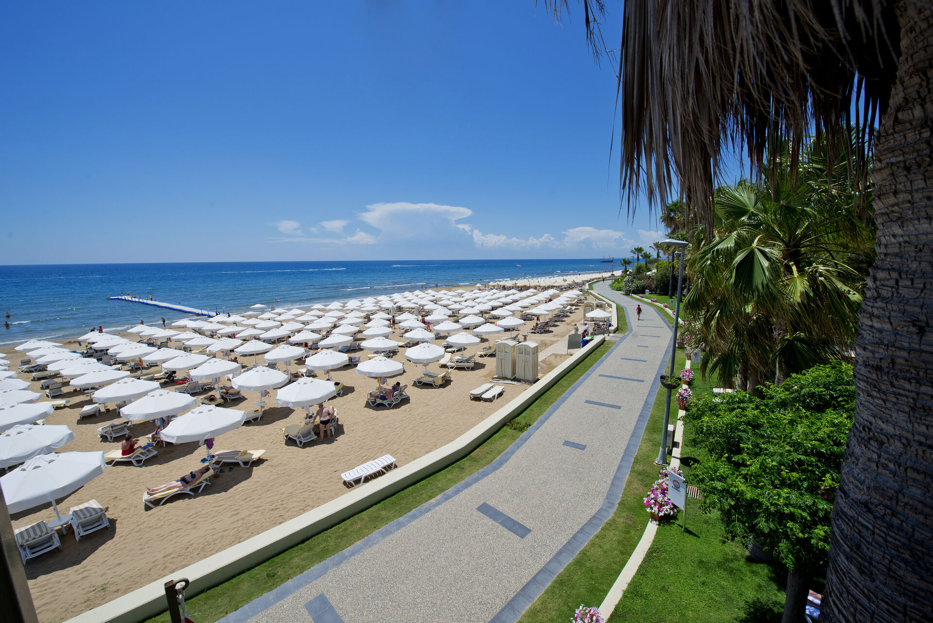 Barut Hemera 32