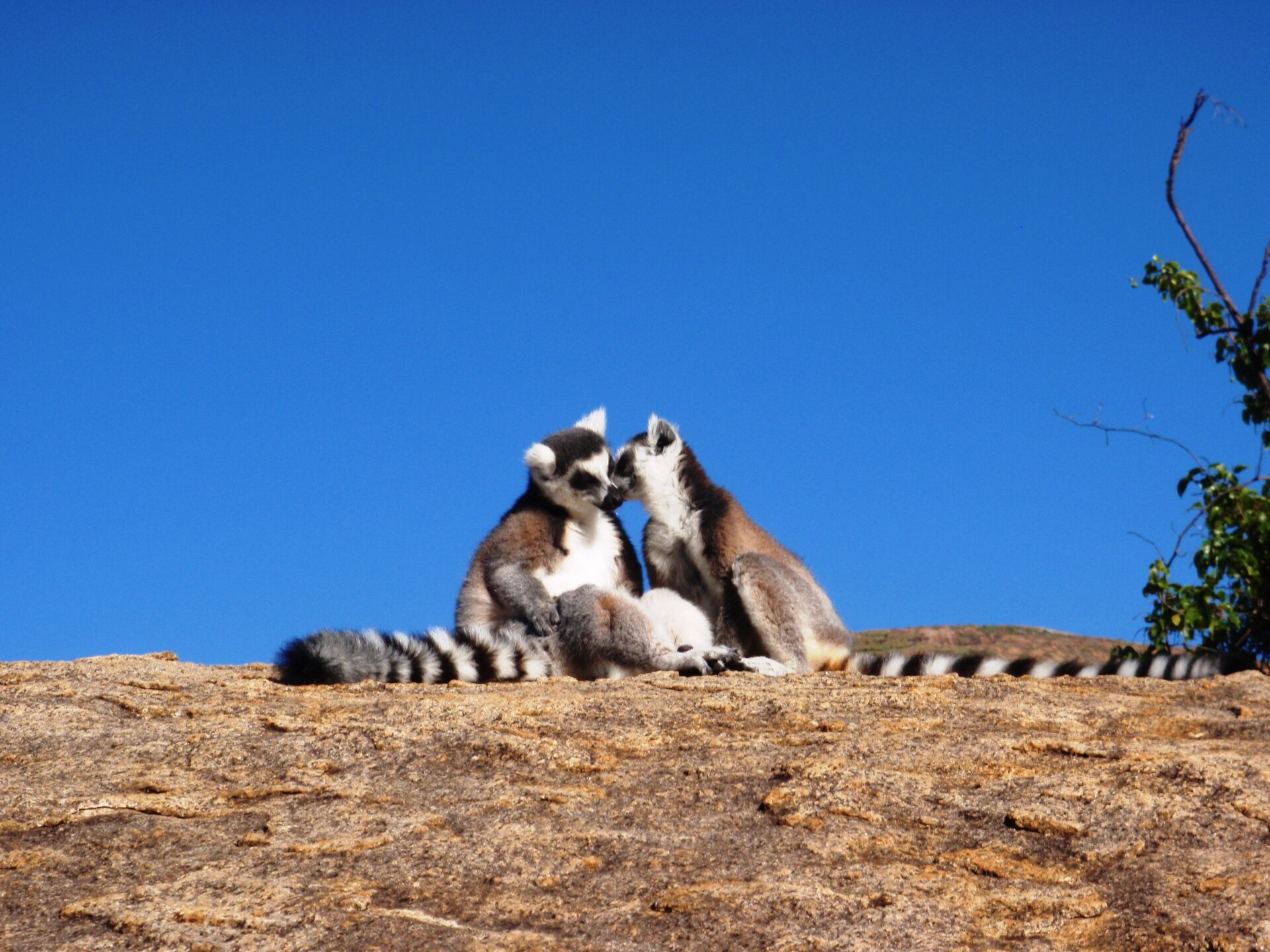 Unikátne potulky západným Madagaskarom 14