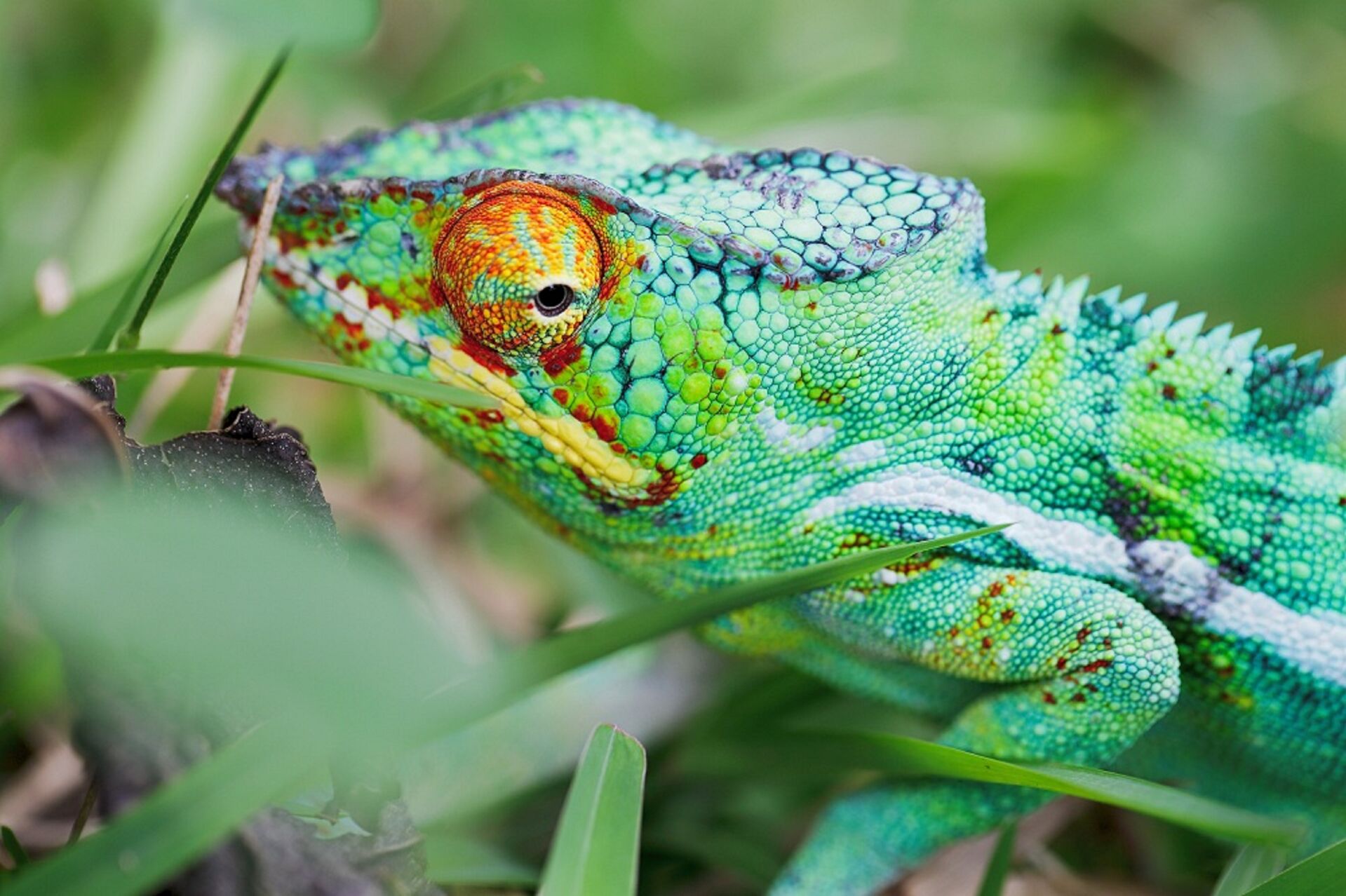 Unikátne potulky západným Madagaskarom 12