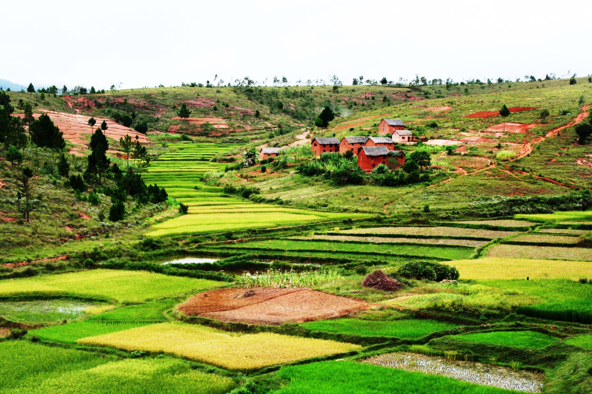 Unikátne potulky západným Madagaskarom 7