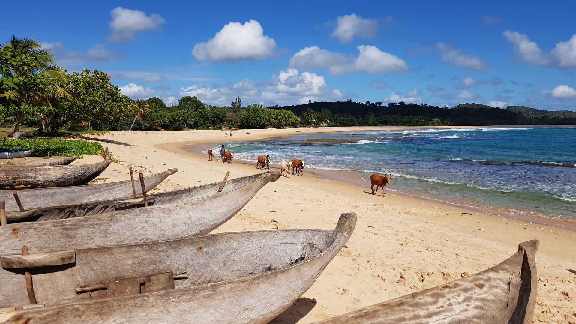 Unikátne potulky západným Madagaskarom 11