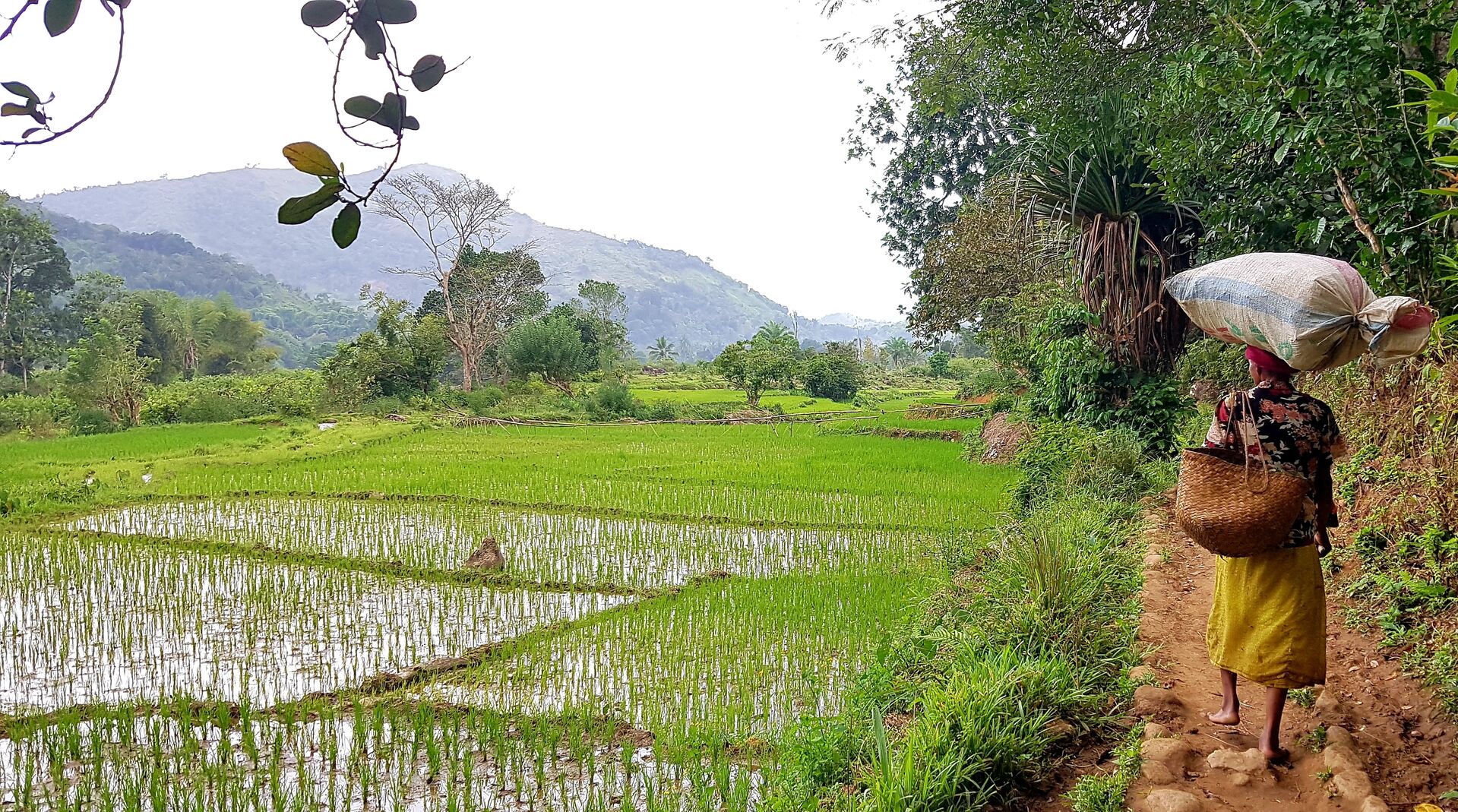 Unikátne potulky západným Madagaskarom 10