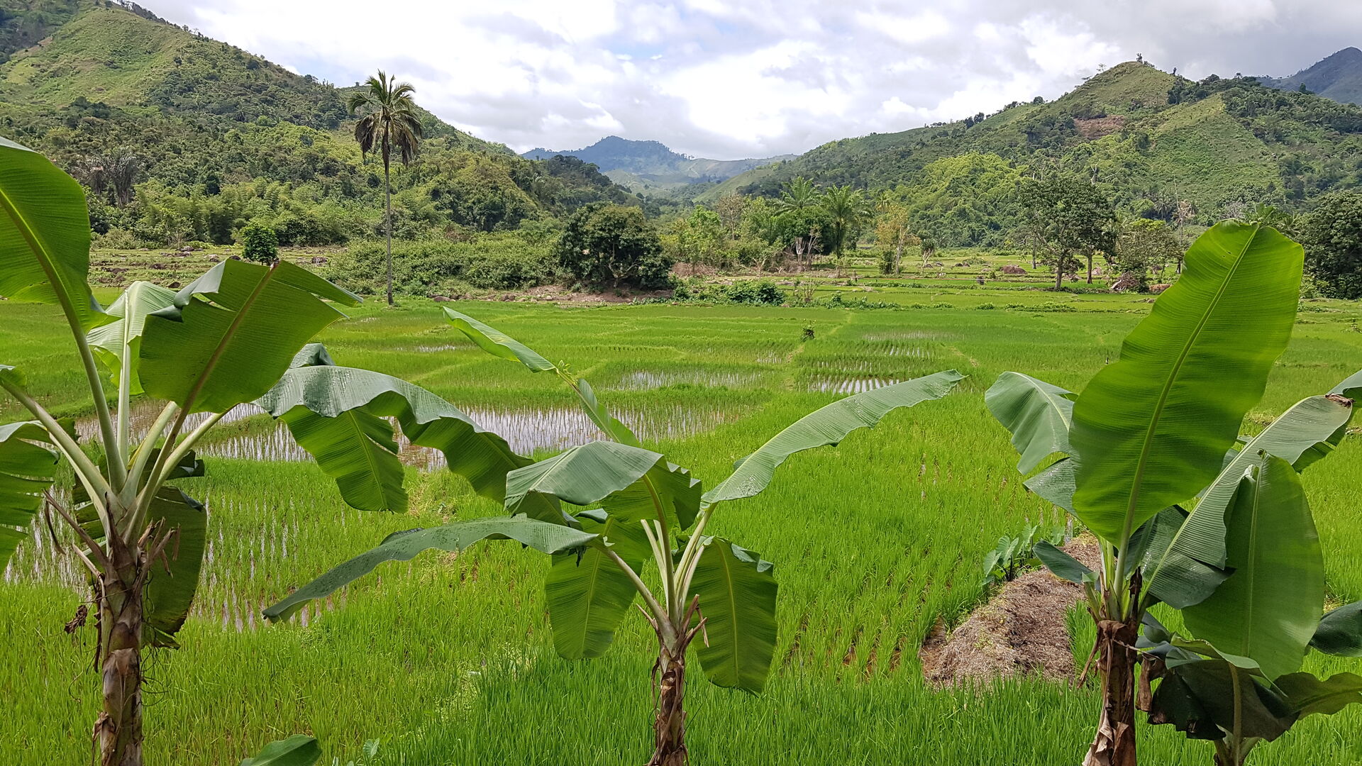 Unikátne potulky západným Madagaskarom 4