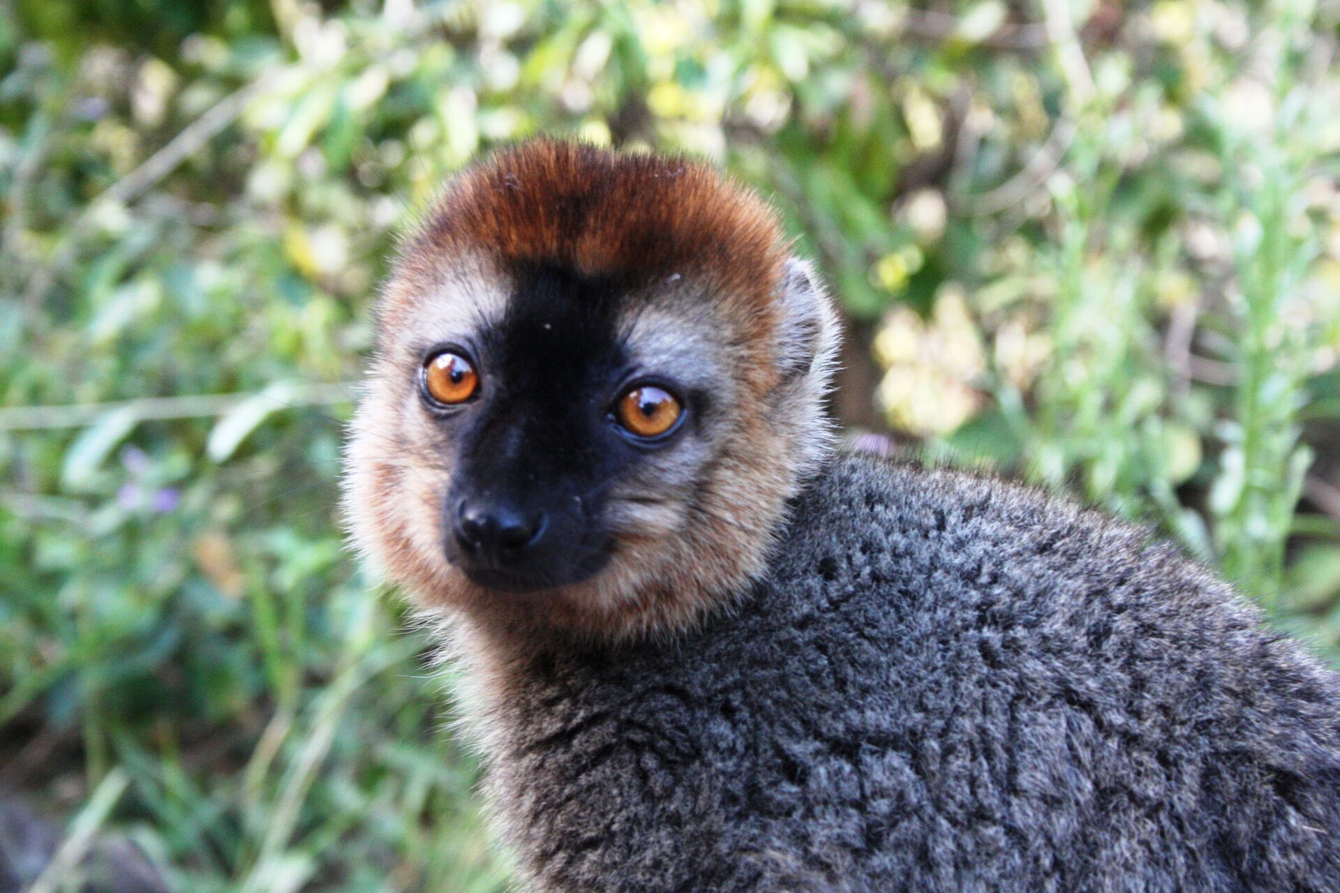 Unikátne potulky západným Madagaskarom 2