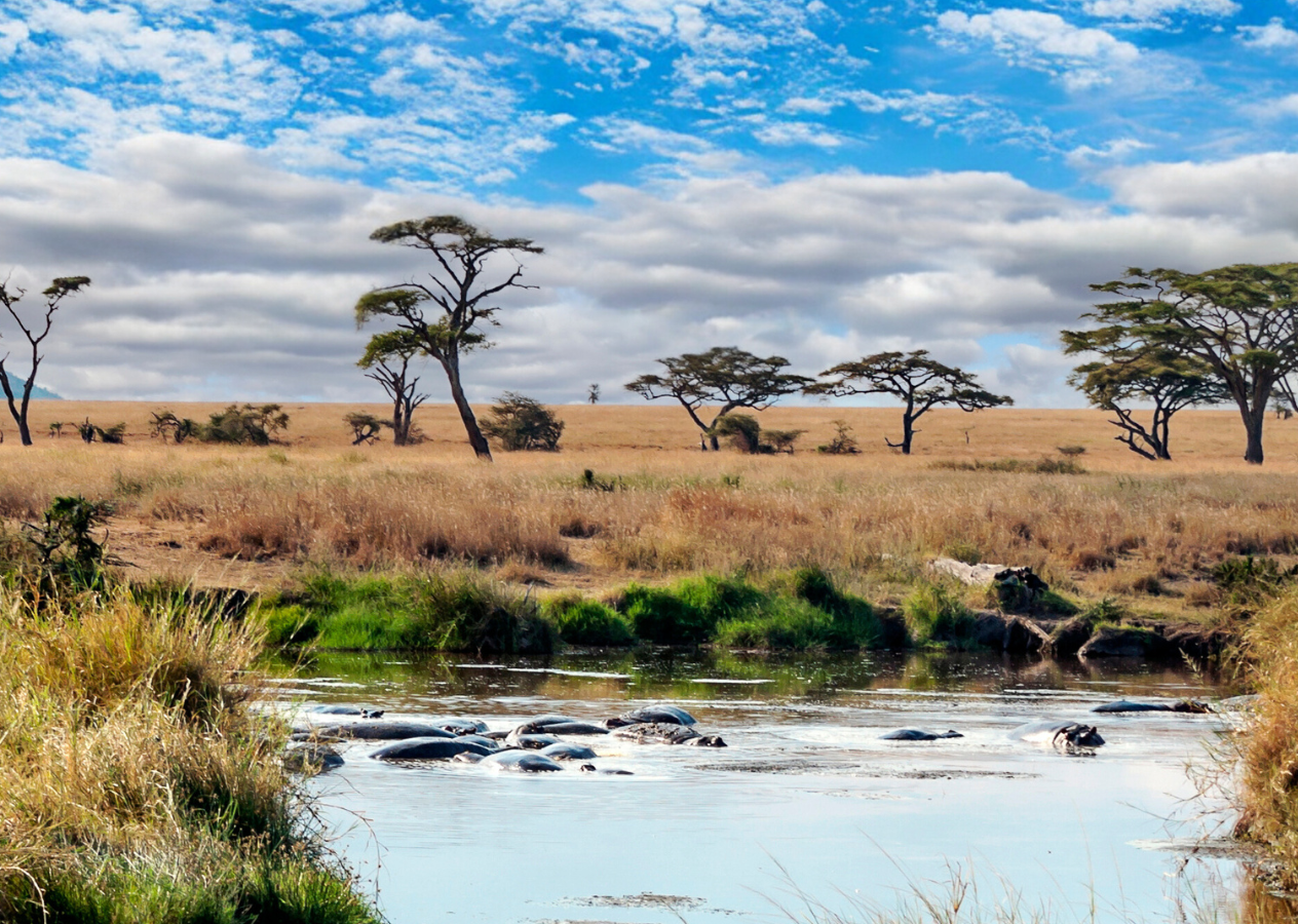 Zanzibar - safari v NP Saadani s pobytom pri mori 12