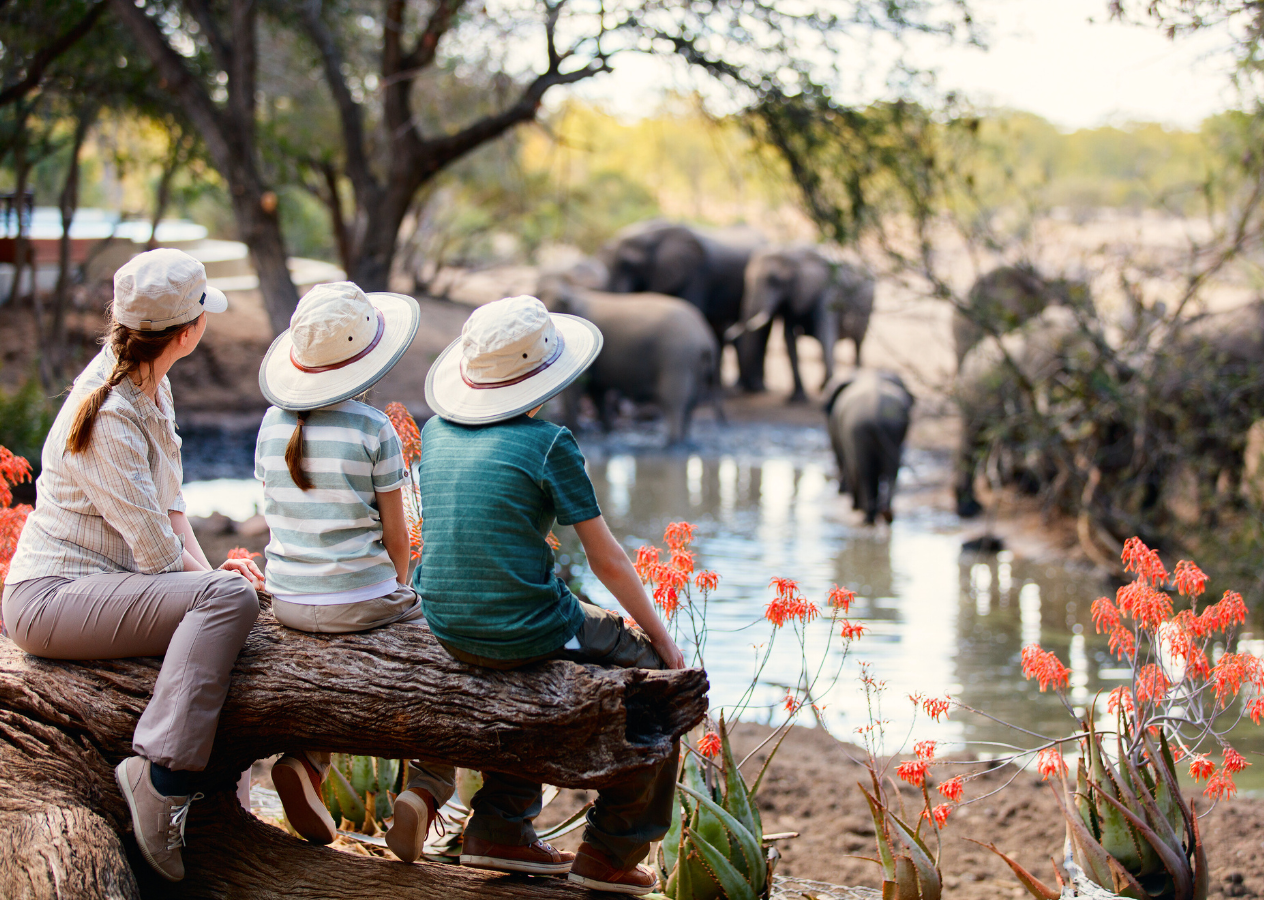 Zanzibar - safari v NP Saadani s pobytom pri mori 11