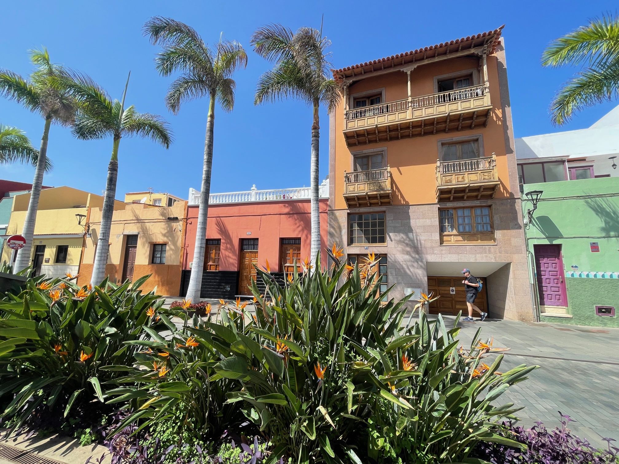 Silvester na Tenerife 43
