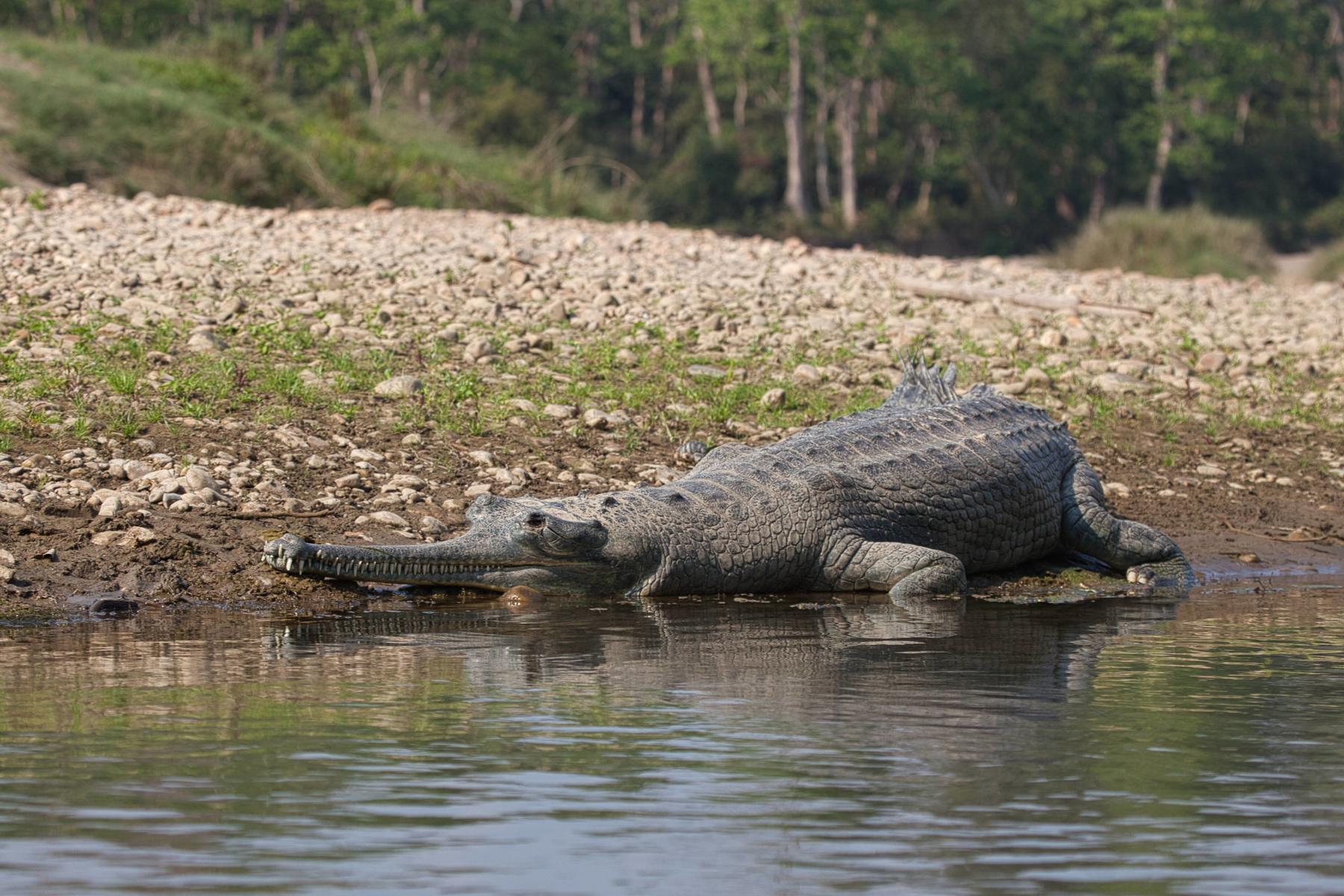 Nepál - cesta na "strechu sveta" 22