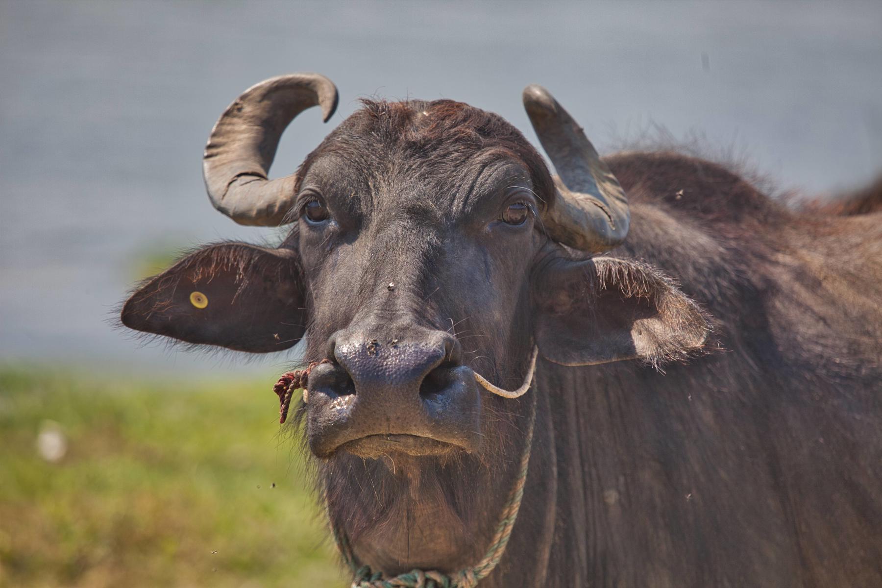 Nepál - cesta na "strechu sveta" 20