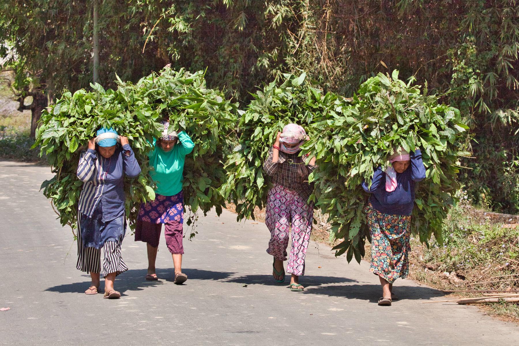 Nepál - cesta na "strechu sveta" 23
