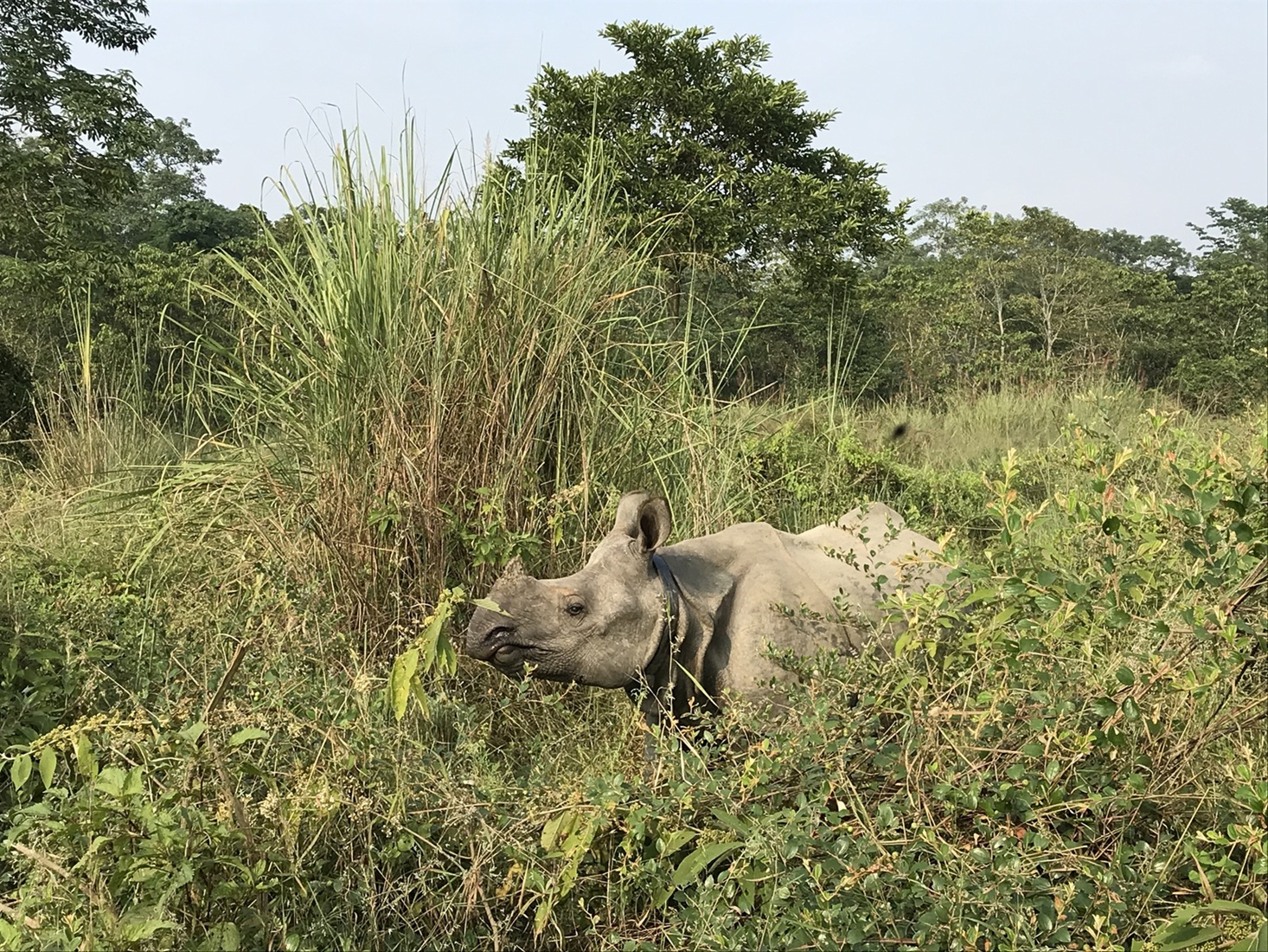 Nepál - cesta na "strechu sveta" 19