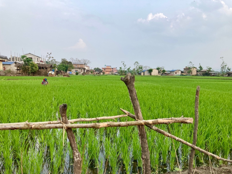 Nepál - cesta na "strechu sveta" 16