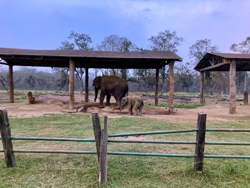 Nepál - cesta na "strechu sveta" 18