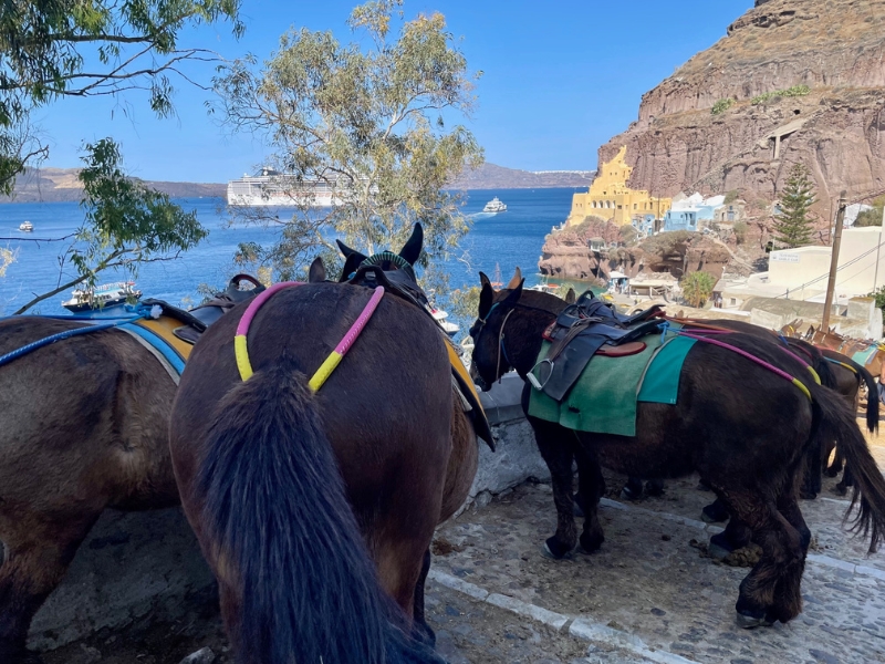 Santorini - kráľ gréckych ostrovov 6