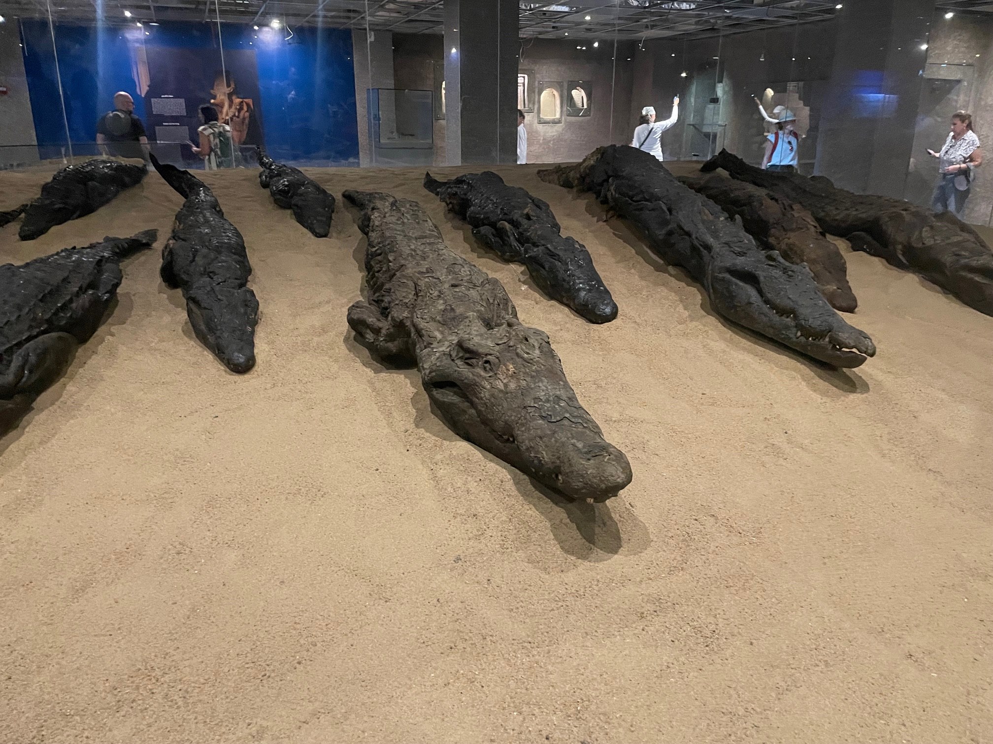 Plavba po Níle pre deti  s animátormi Planet Fun 31